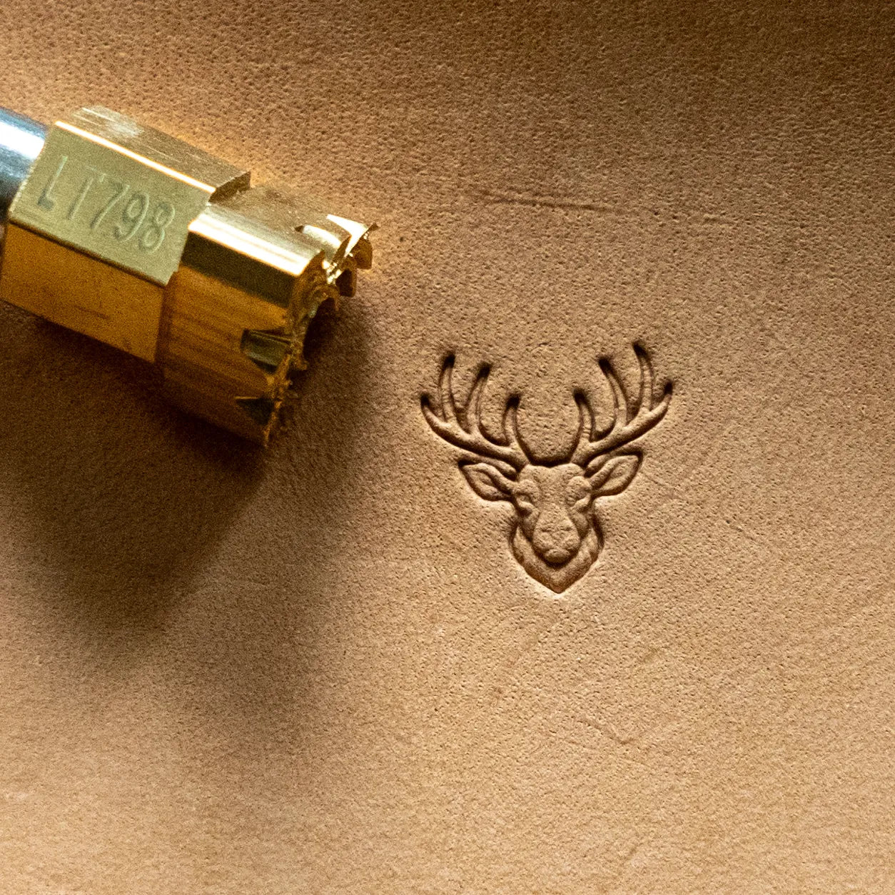 LT798 Deer Leather Stamping Tool for Professional Crafters – Antler Head Deer 15x15mm (7/12" x 7/12")