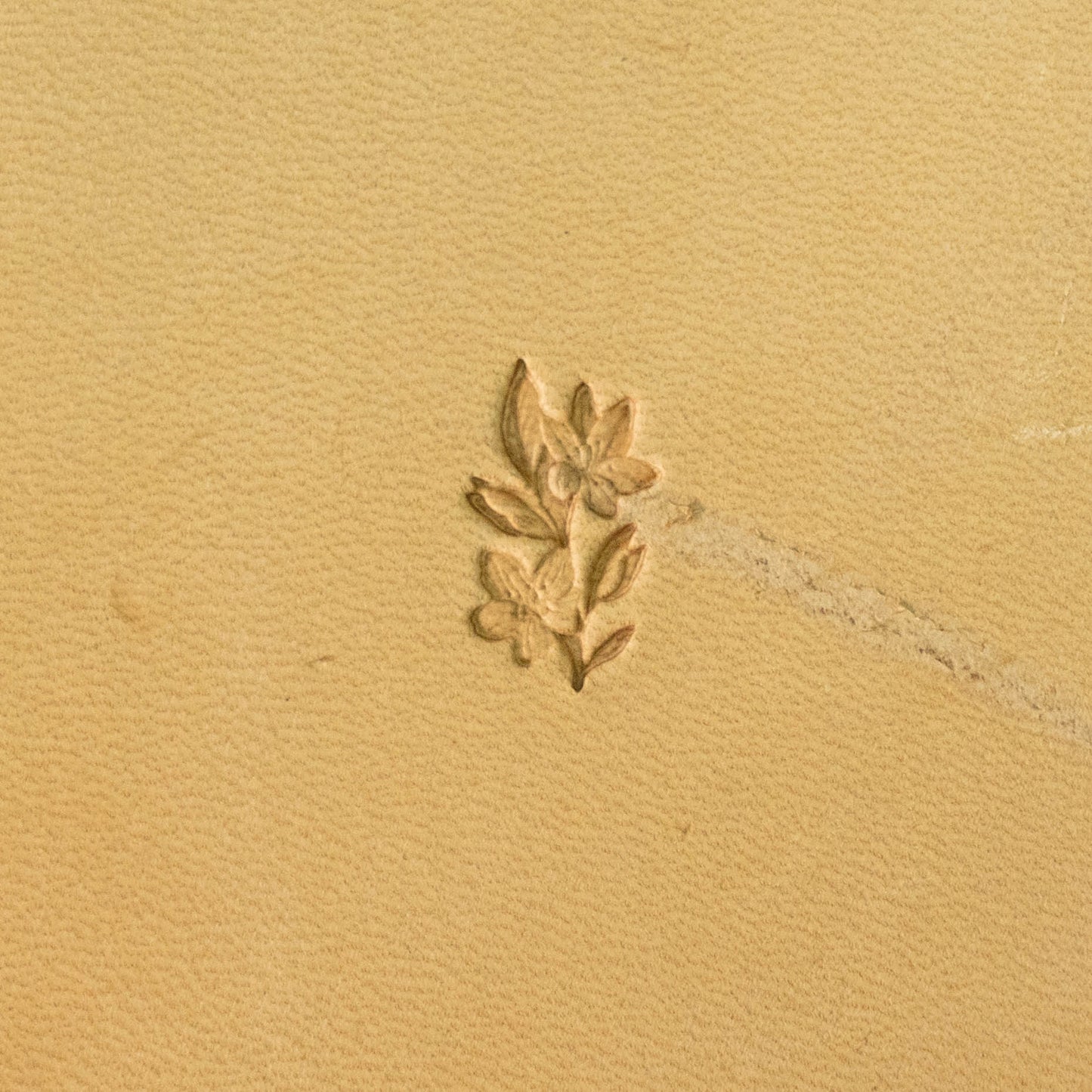 LT713 Flower Leather Stamping Tool–Petite Blossom Flower 12x19mm (7/15" x 3/4")