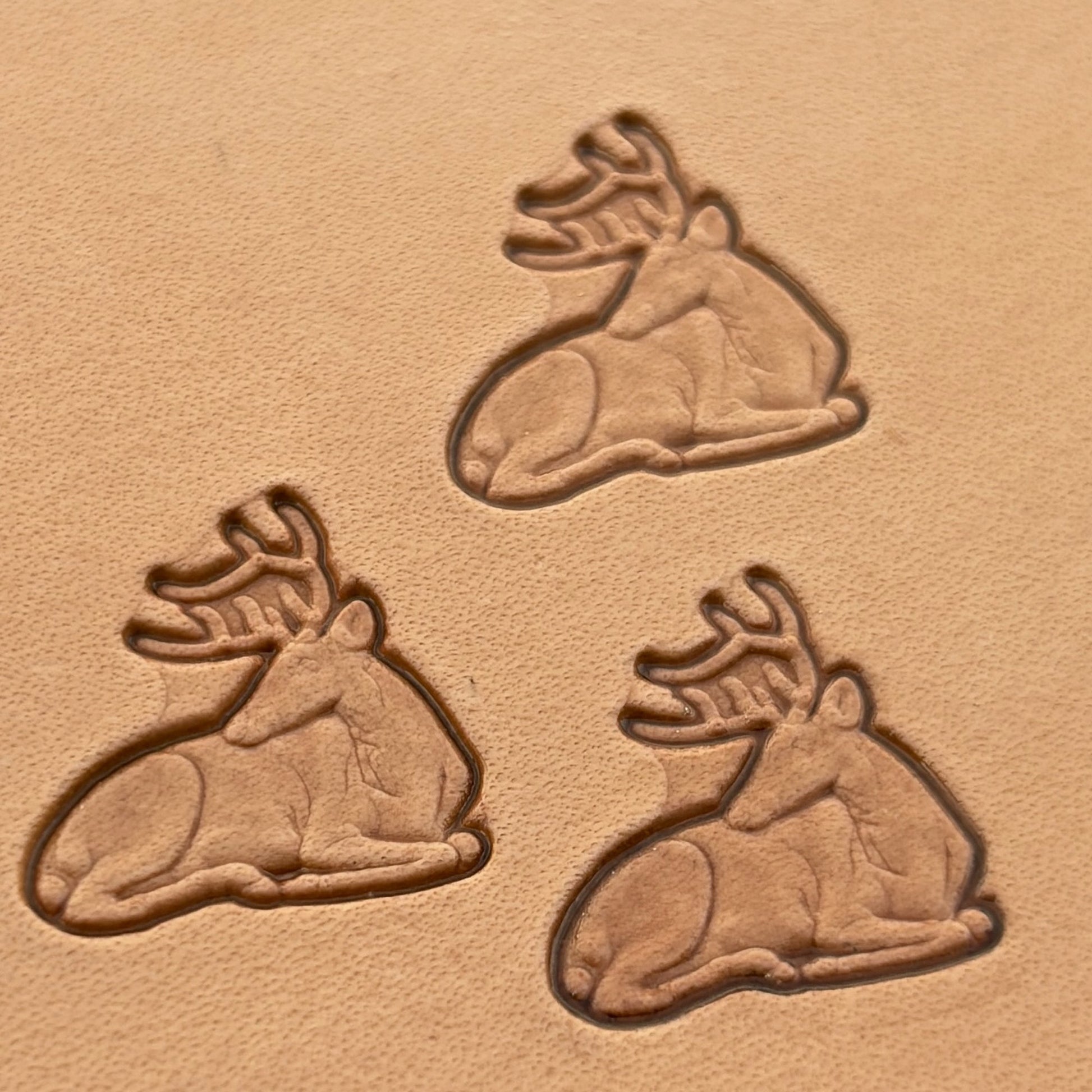 Stag Head leather stamp LT006 — imprint on natural veg-tan leather
