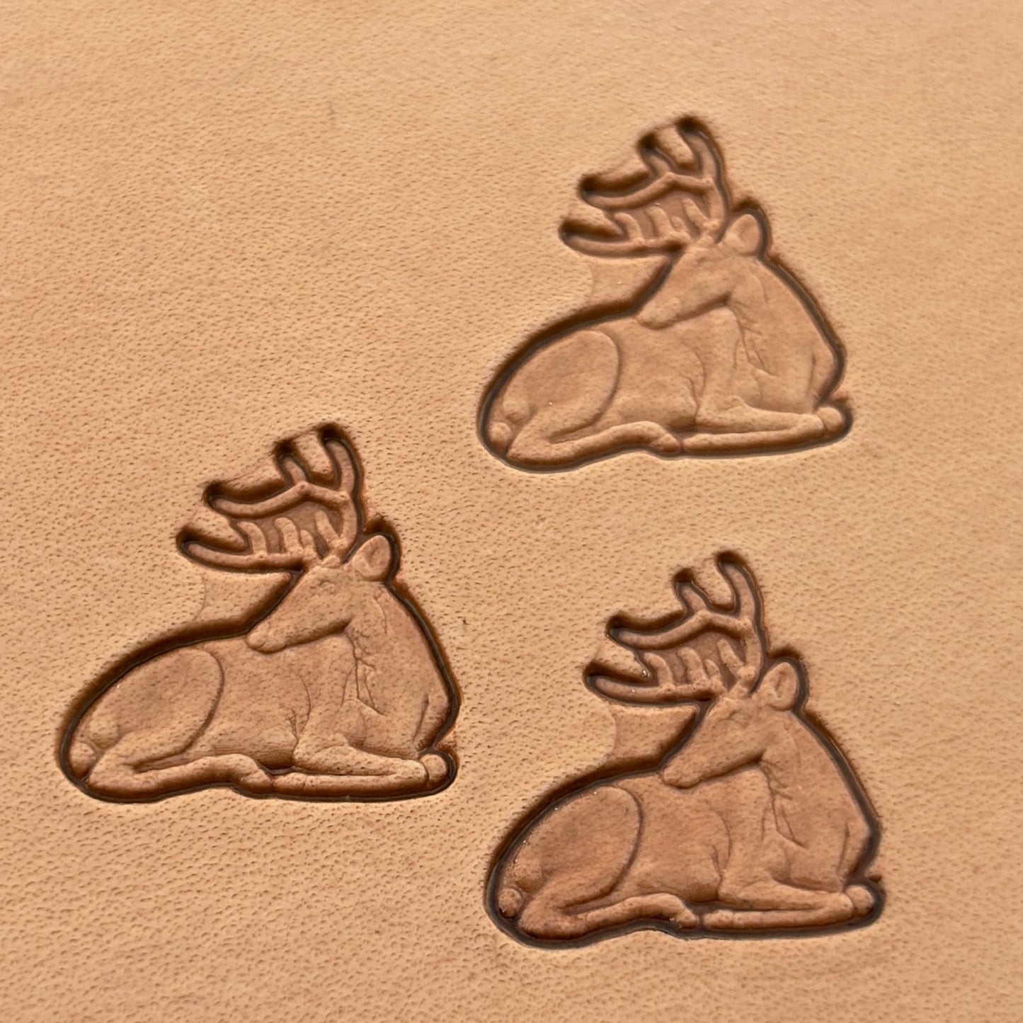 Stag Head leather stamp LT006 — pattern imprint on veg-tan leather