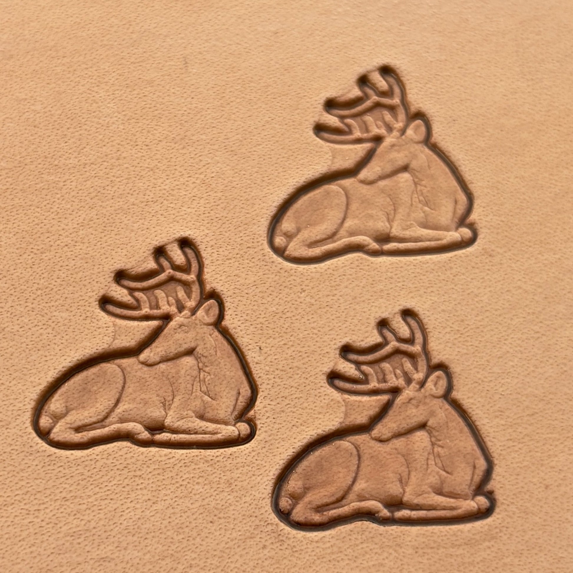 Stag Head leather stamp LT006 — pattern imprint on veg-tan leather