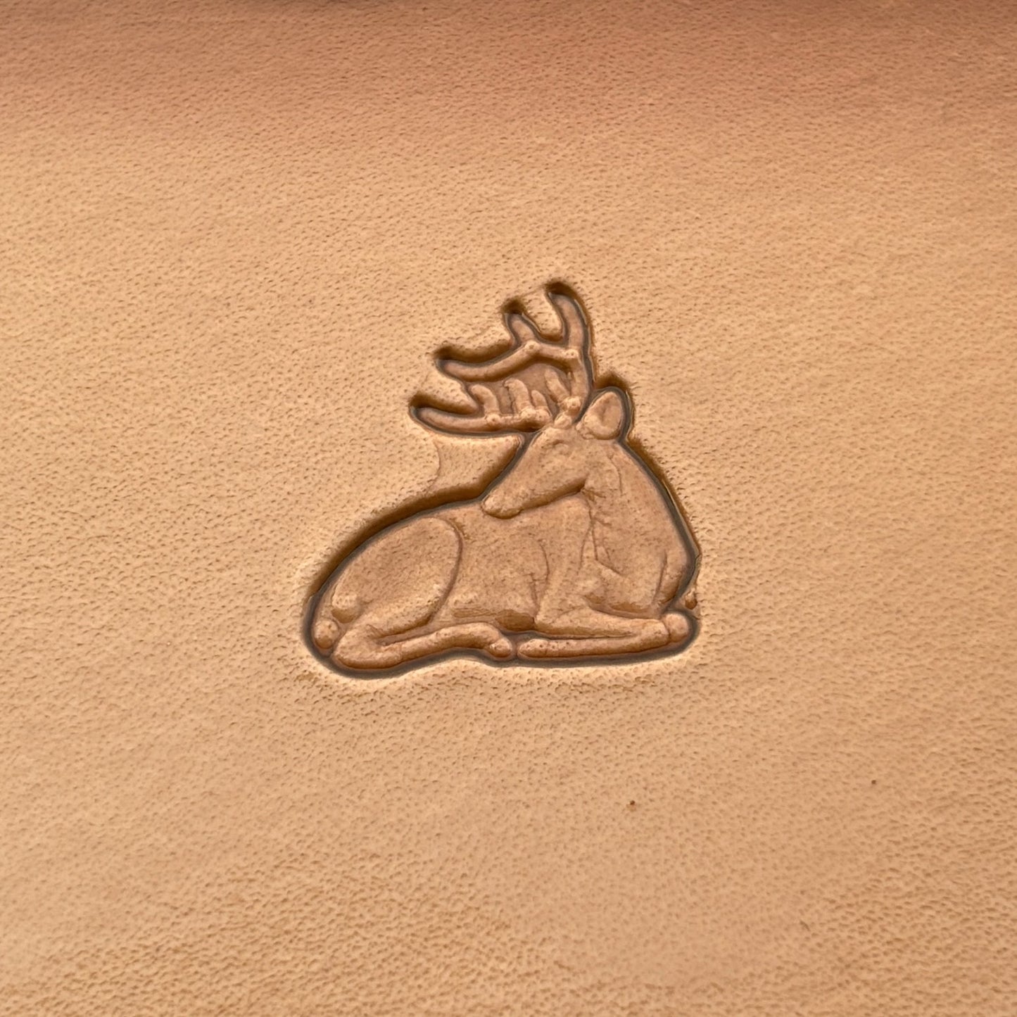 Stag Head leather stamp LT006 — single impression on veg-tan leather