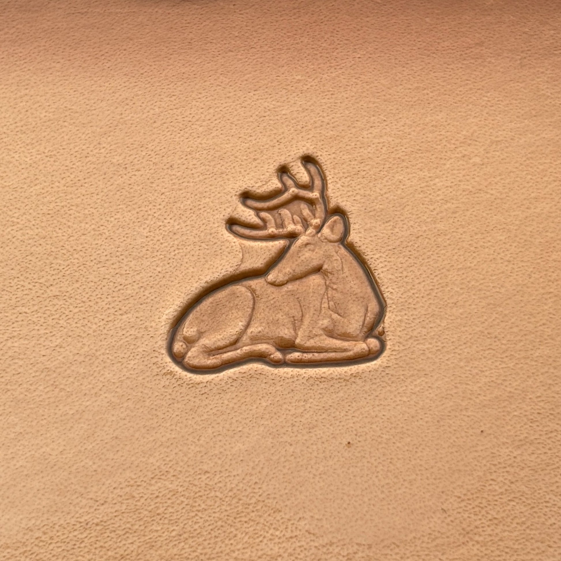 Stag Head leather stamp LT006 — single impression on veg-tan leather