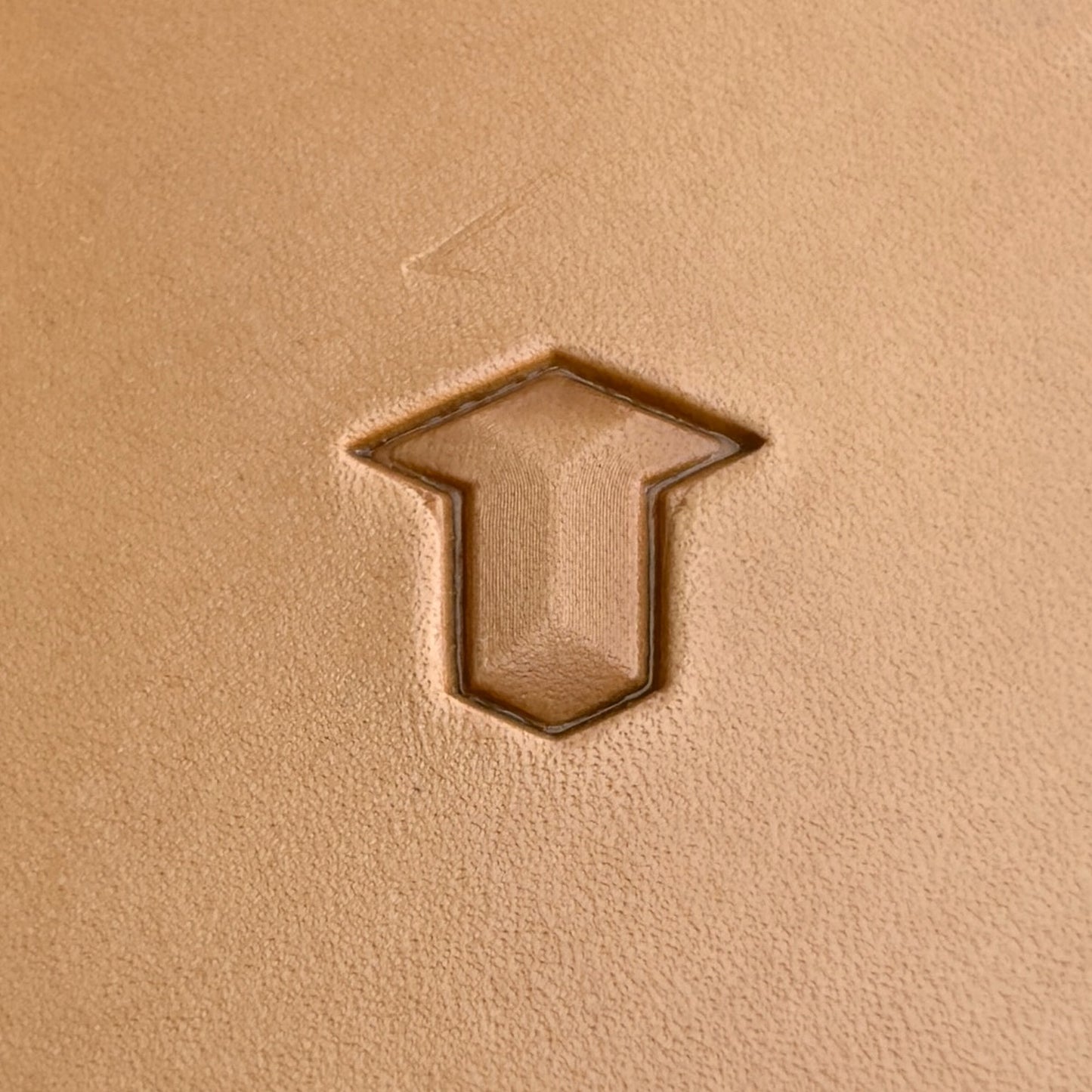 Geometric leather stamp LT023 — single impression on veg-tan leather