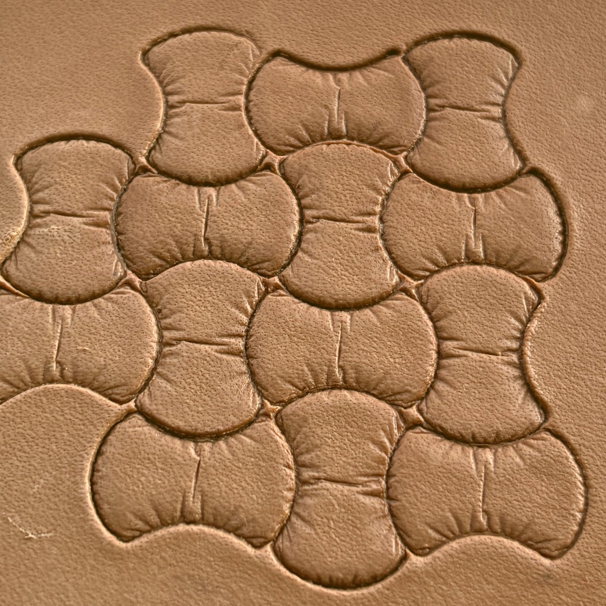 Scales leather stamp LT033 — pattern imprint on veg-tan leather