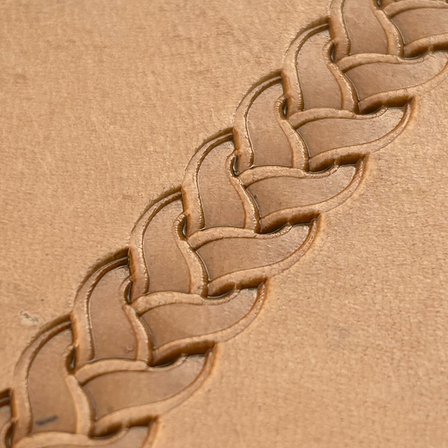Braided Border leather stamp LT039 — single impression on veg-tan leather