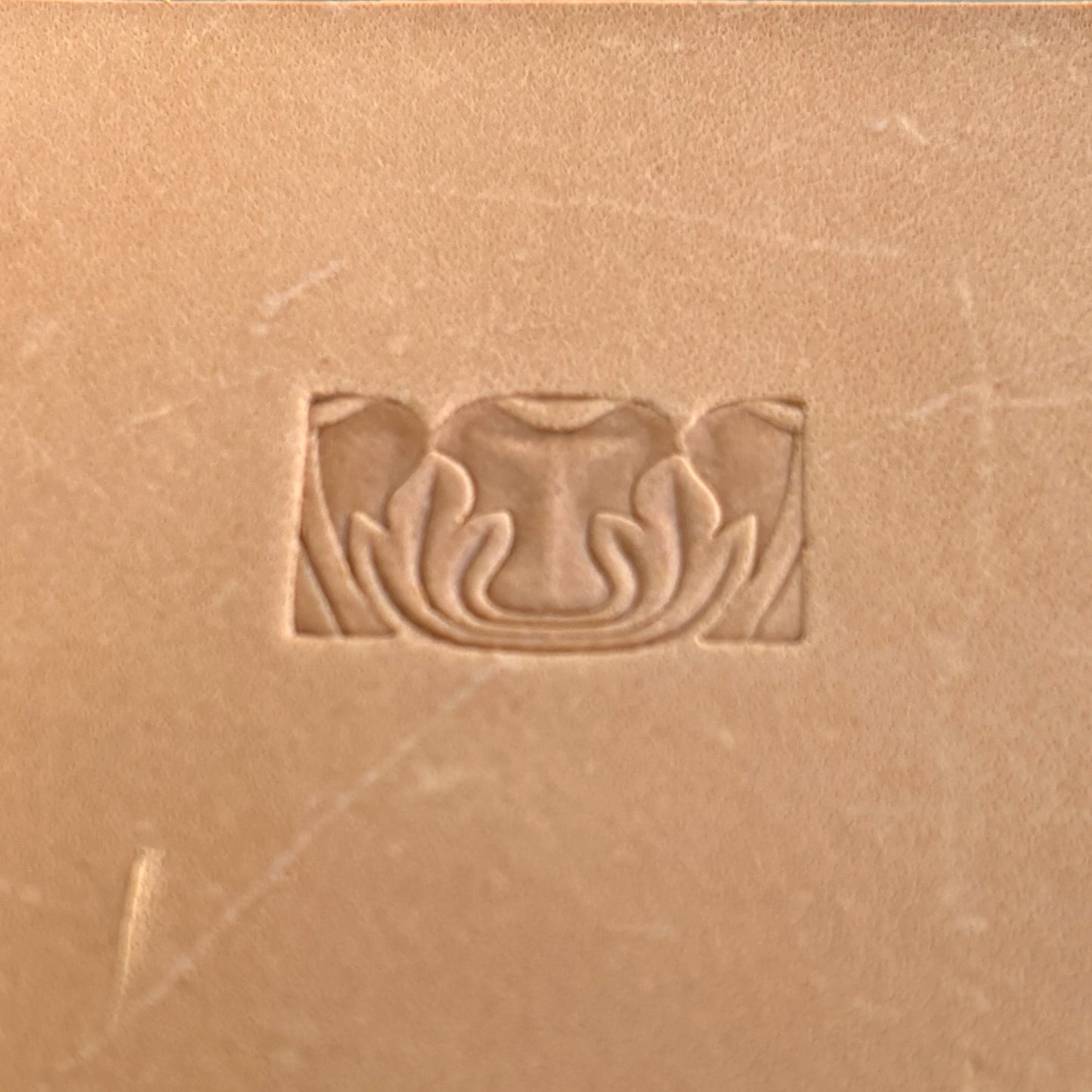 Ornate Border + Corner leather stamp LT052 — single impression on veg-tan leather