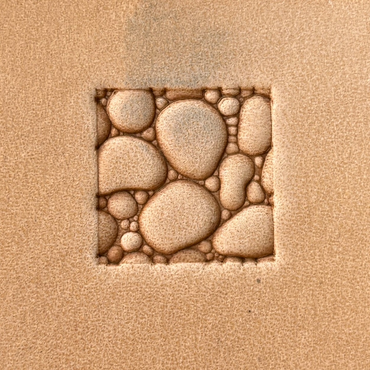 Bubble Texture leather stamp LT054 — single impression on veg-tan leather
