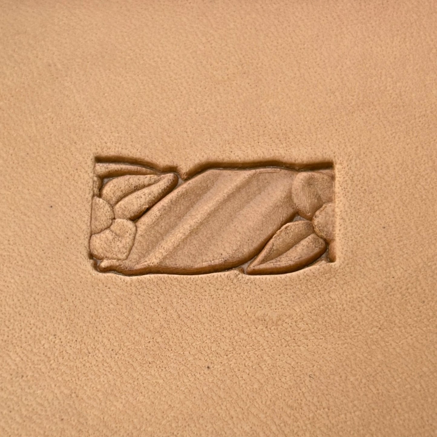 Floral Border leather stamp LT065 — single impression on veg-tan leather