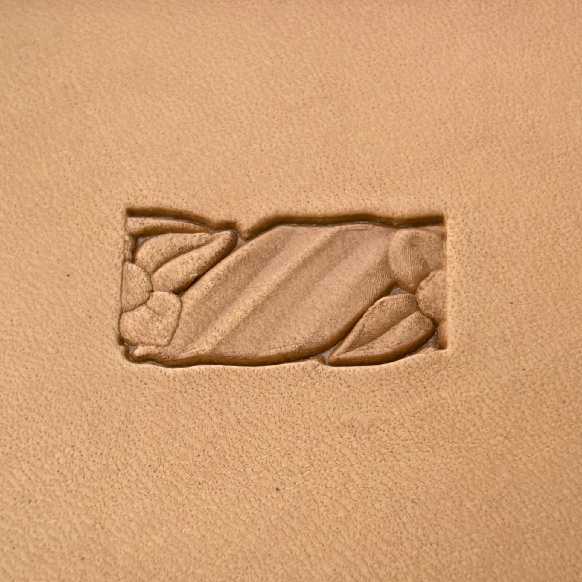 Floral Border leather stamp LT065 — single impression on veg-tan leather