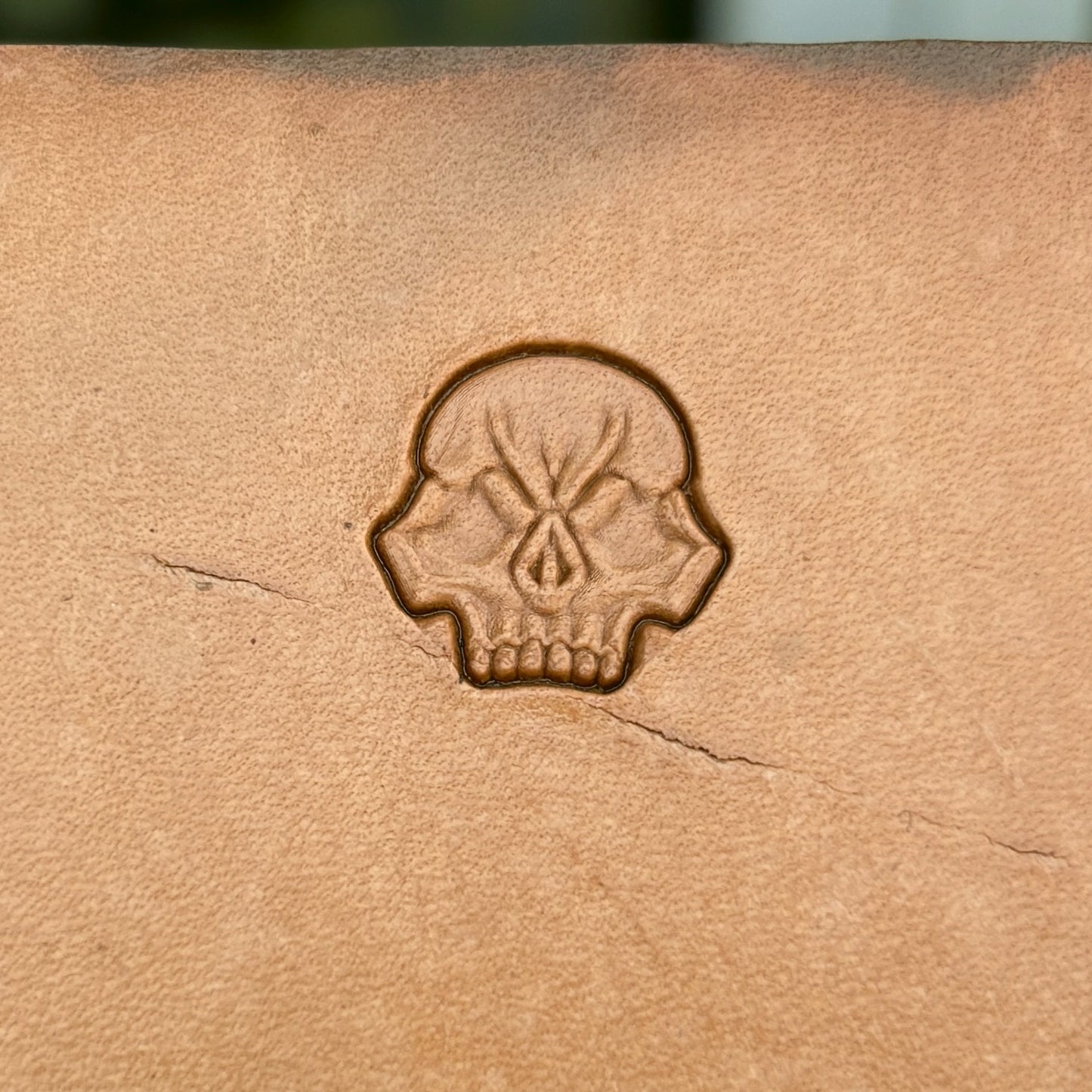 Skull leather stamp LT079 — single impression on veg-tan leather
