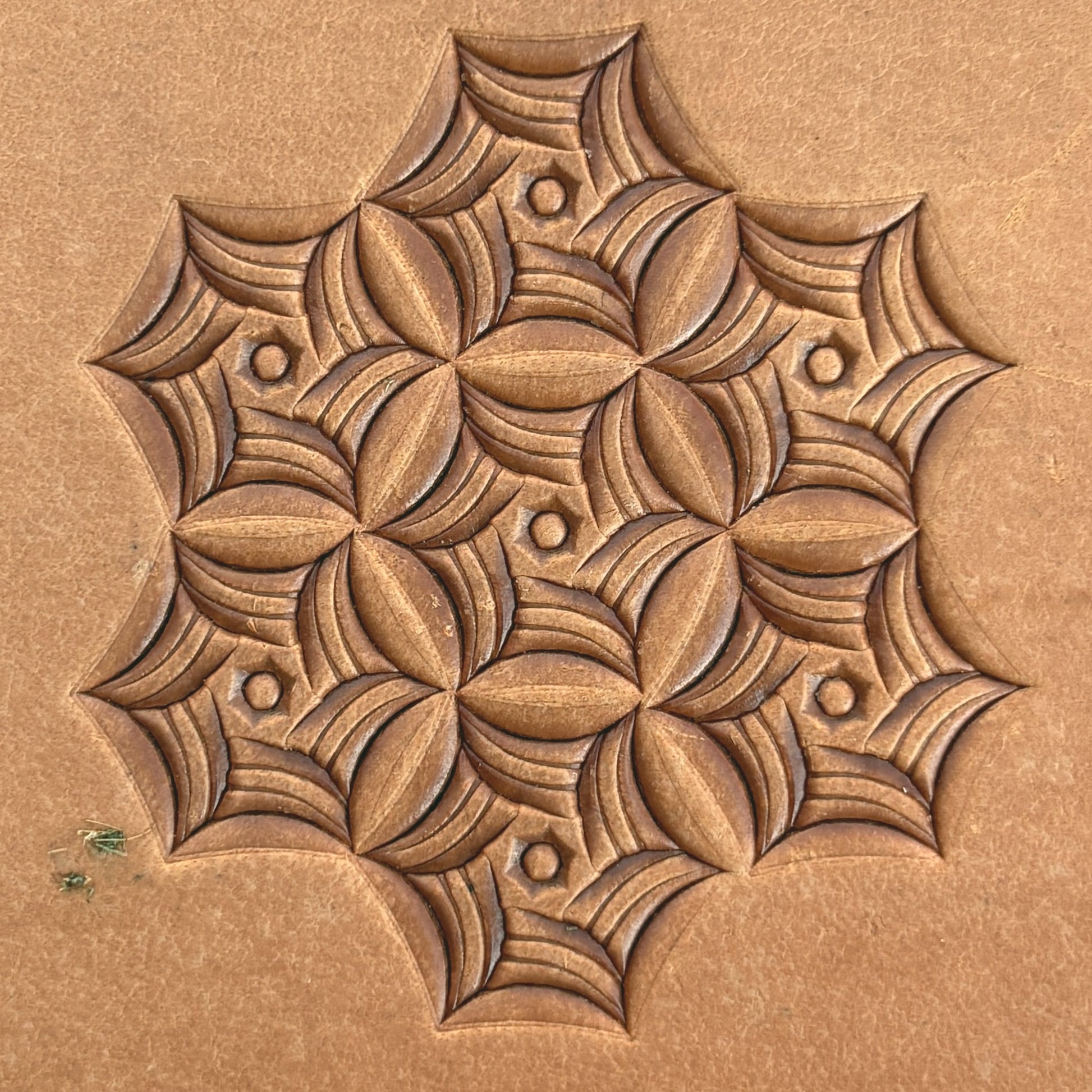 Web Geometric leather stamp LT110 — pattern imprint on veg-tan leather