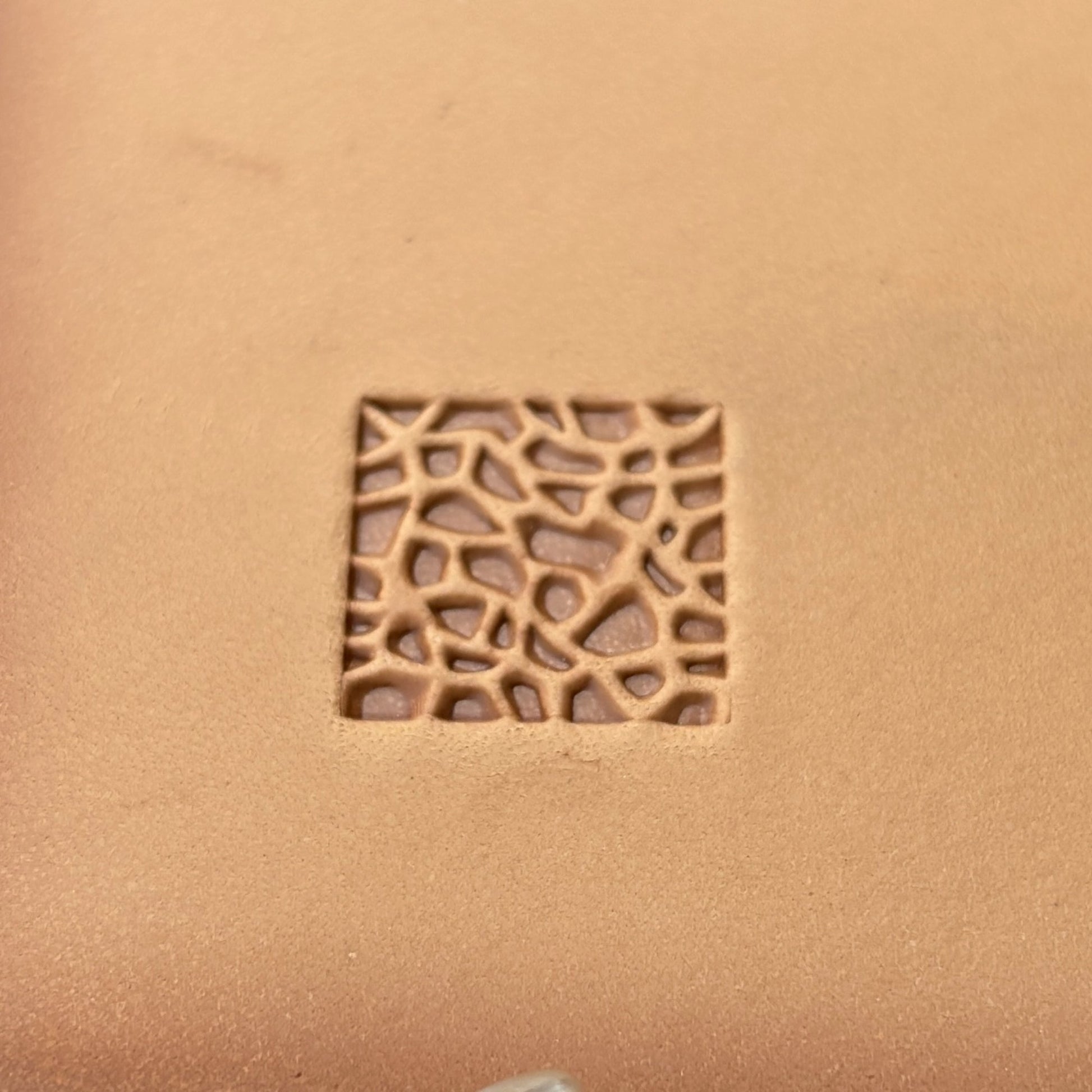 Mosaic Texture leather stamp LT114 — single impression on veg-tan leather