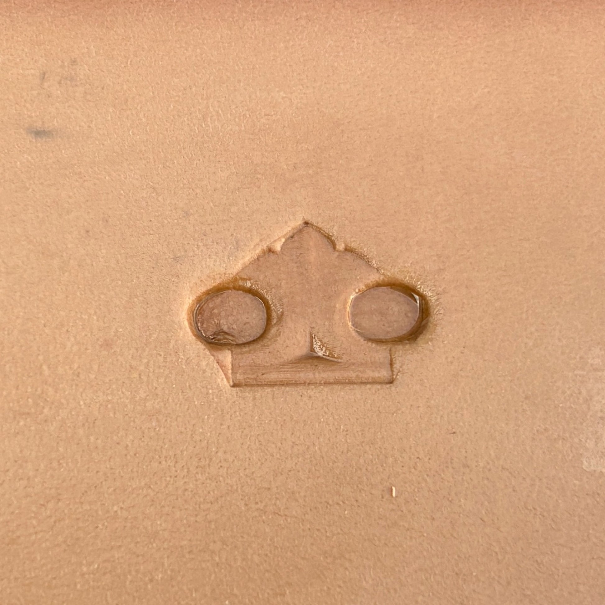 Circle Border leather stamp LT126 — single impression on veg-tan leather
