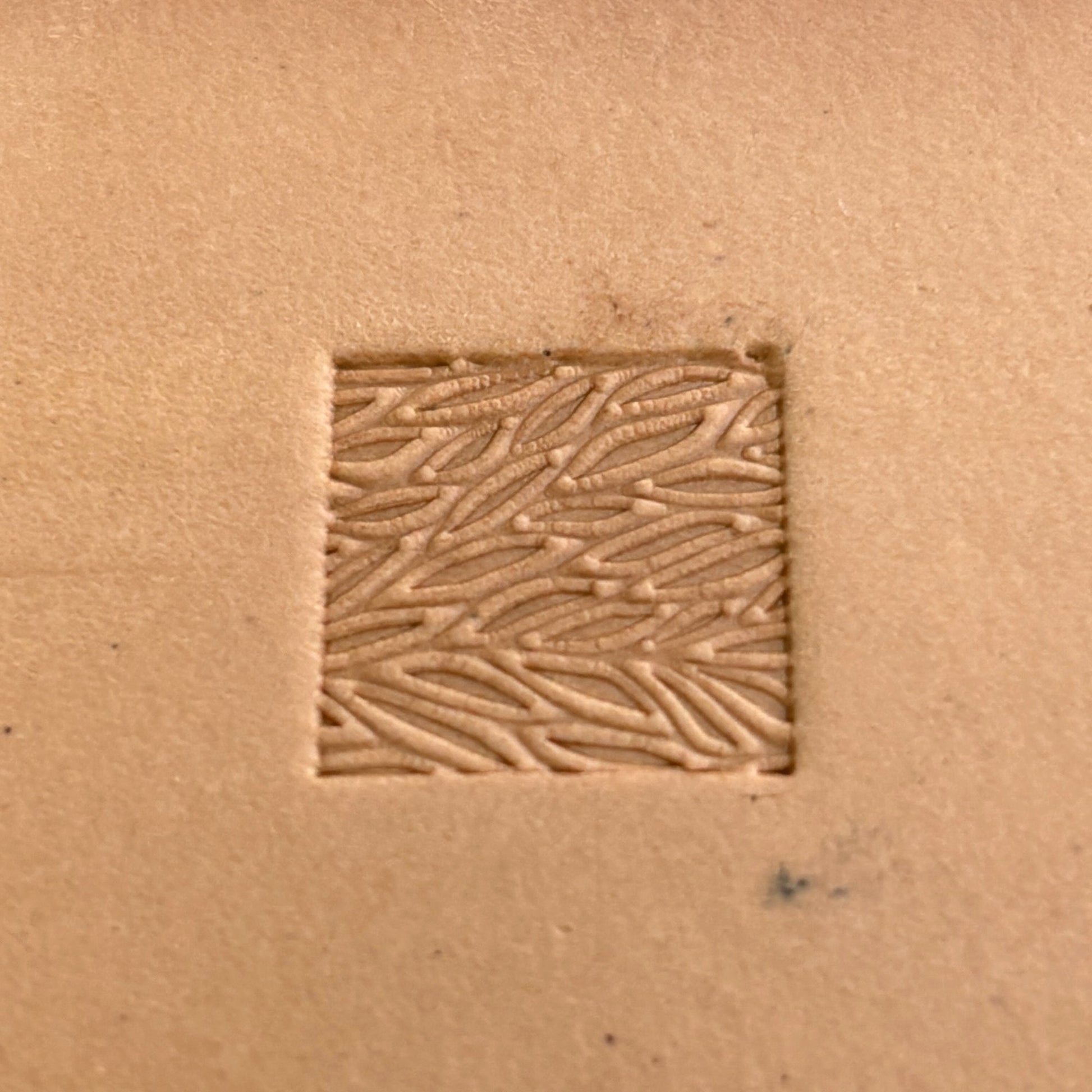 Leafy Texture leather stamp LT138 — single impression on veg-tan leather