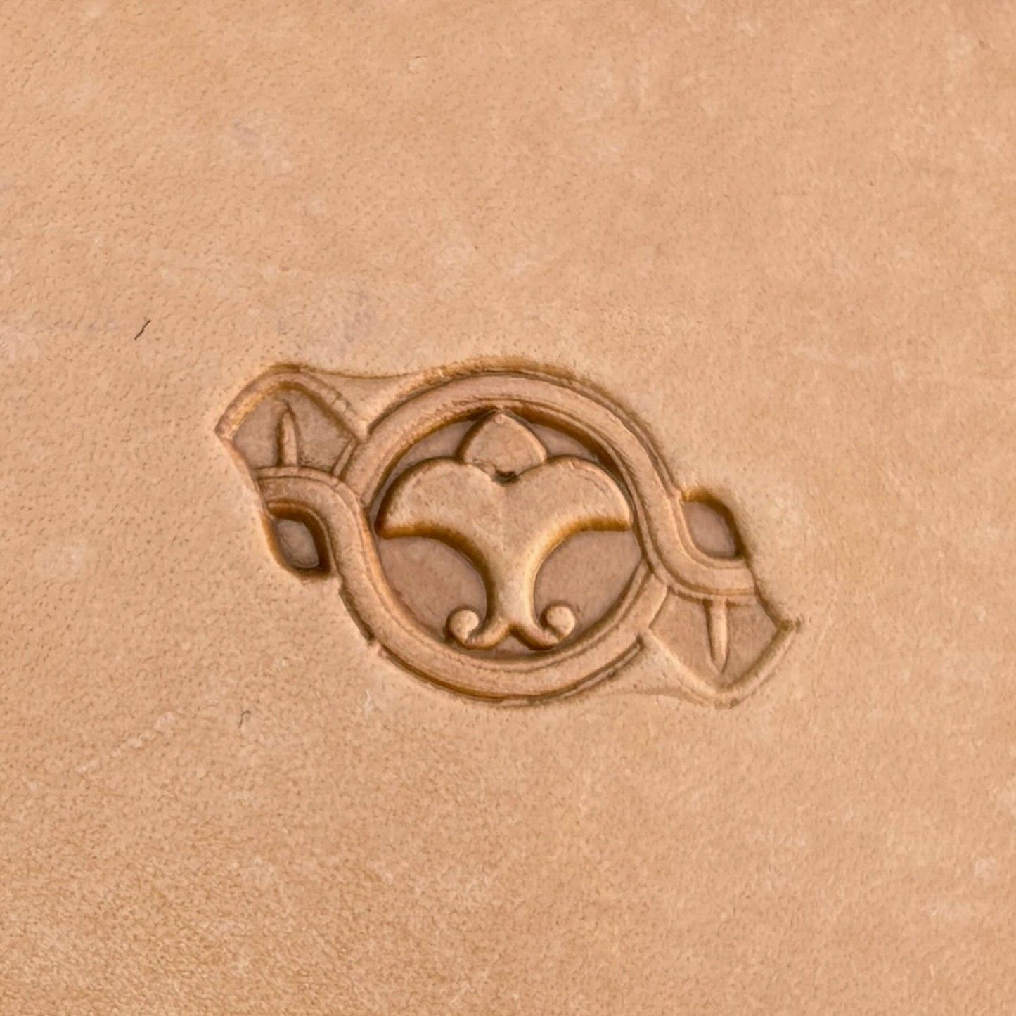 Circular Border leather stamp LT144 — single impression on veg-tan leather