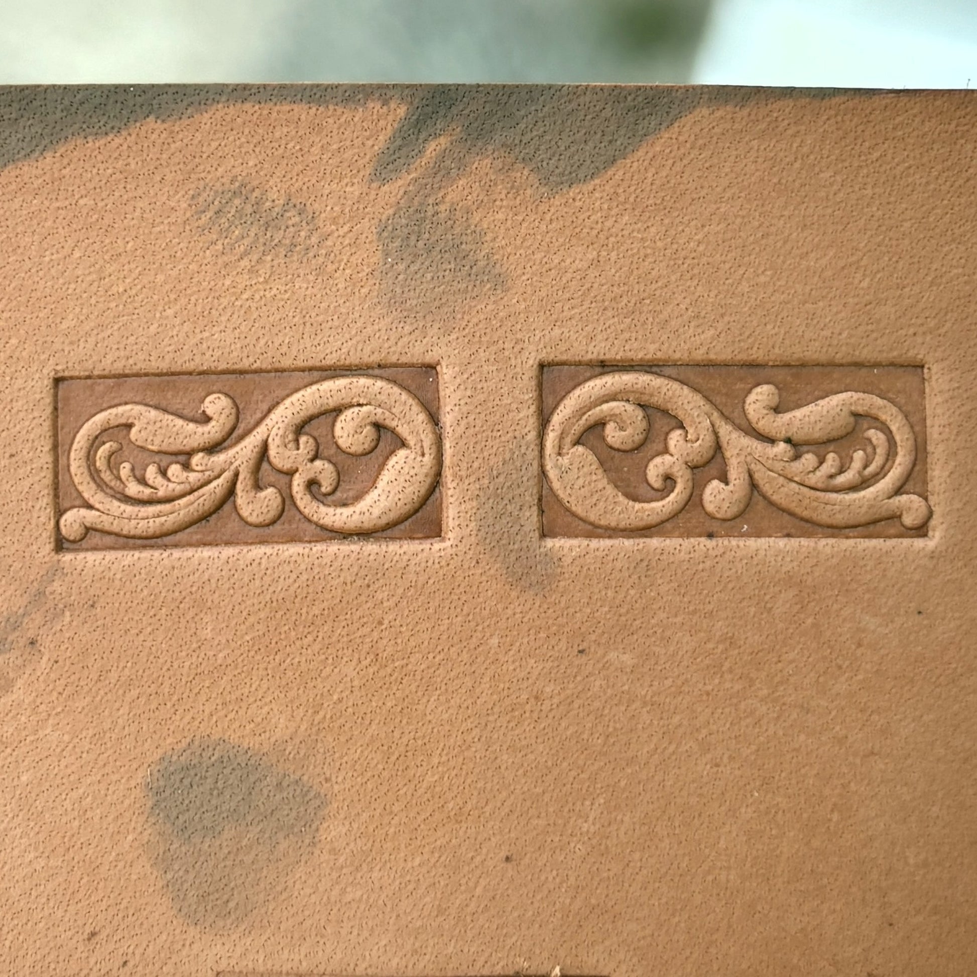 Ornamental Border 1 leather stamp LT147 — single impression on veg-tan leather