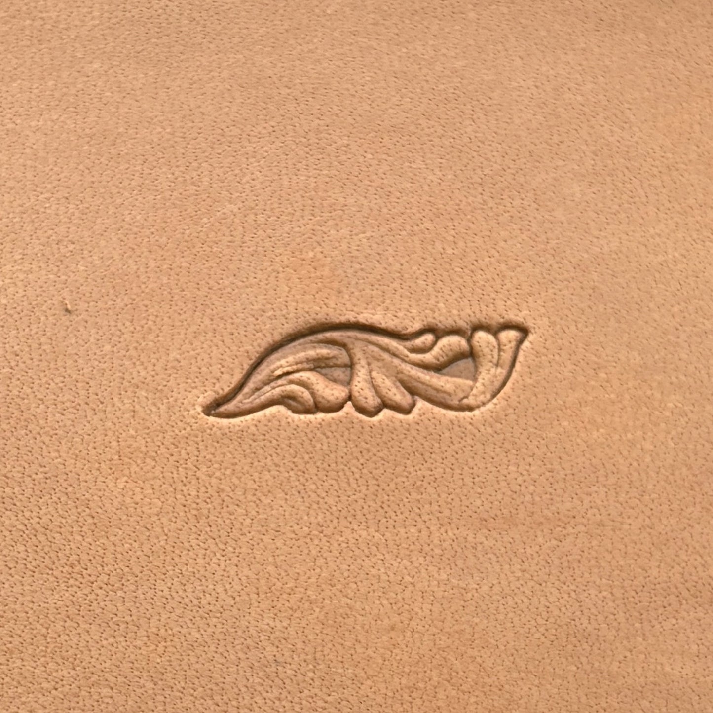 Ornamental Border leather stamp LT151 — single impression on veg-tan leather