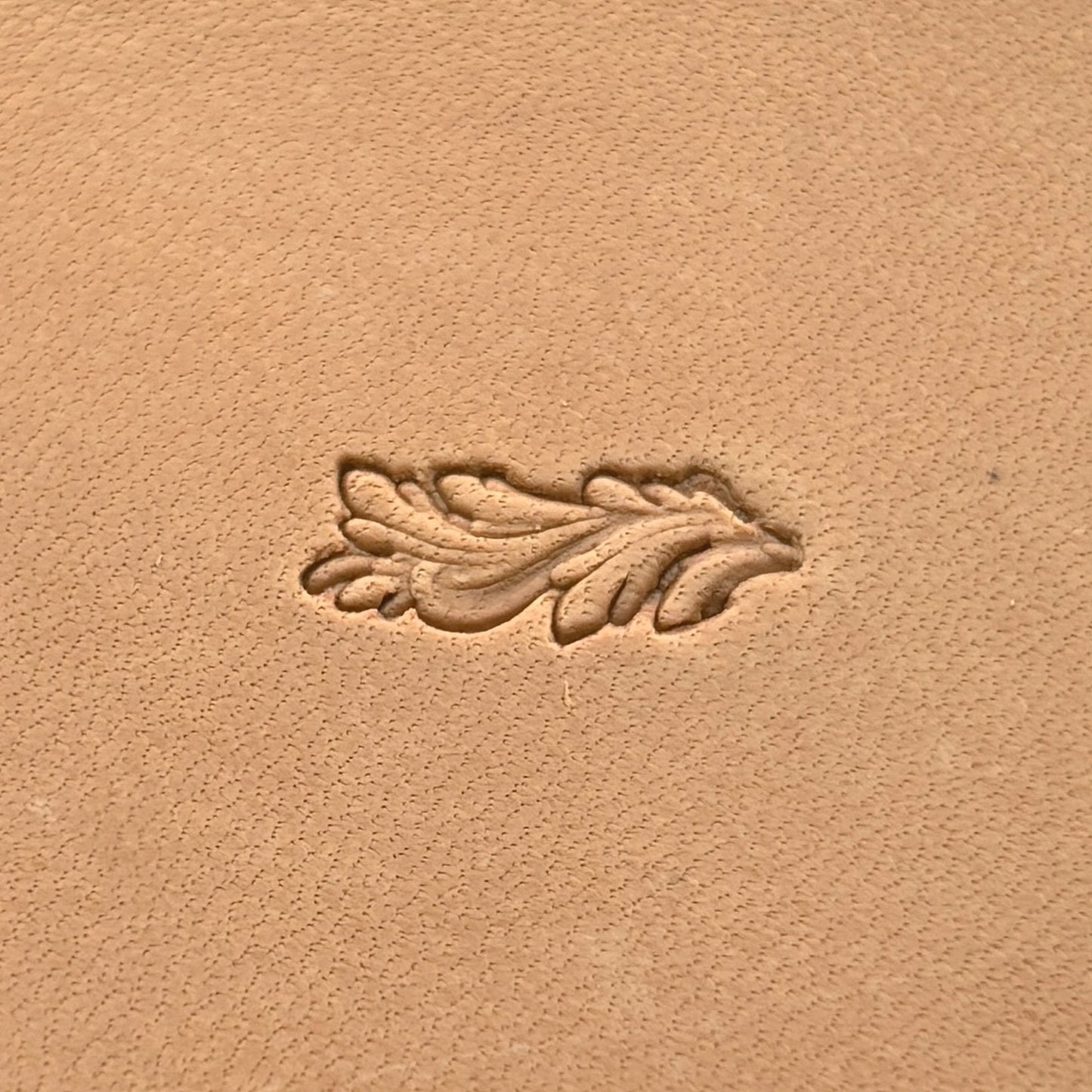 Oak Leaf leather stamp LT153 — single impression on veg-tan leather