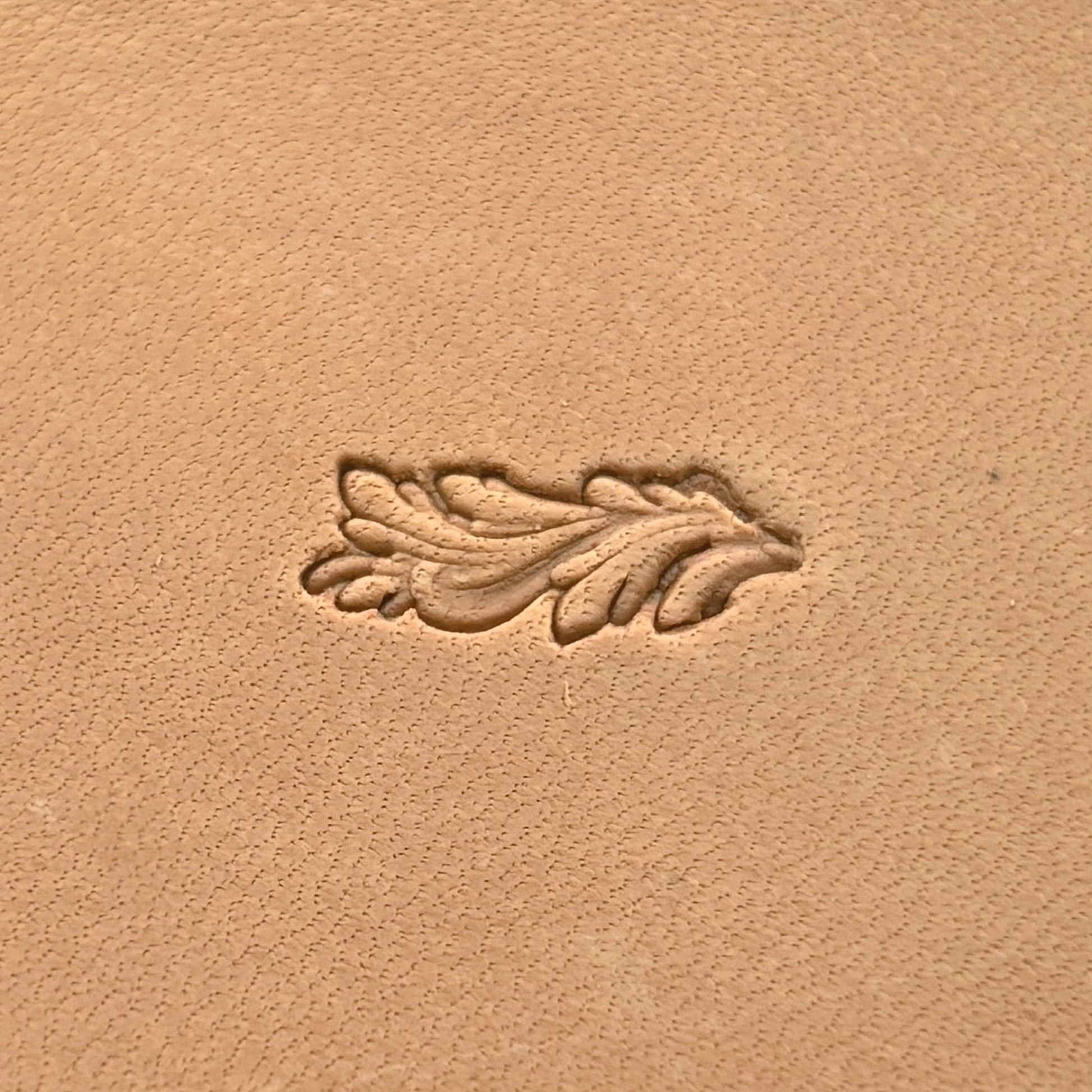 Oak Leaf leather stamp LT153 — single impression on veg-tan leather