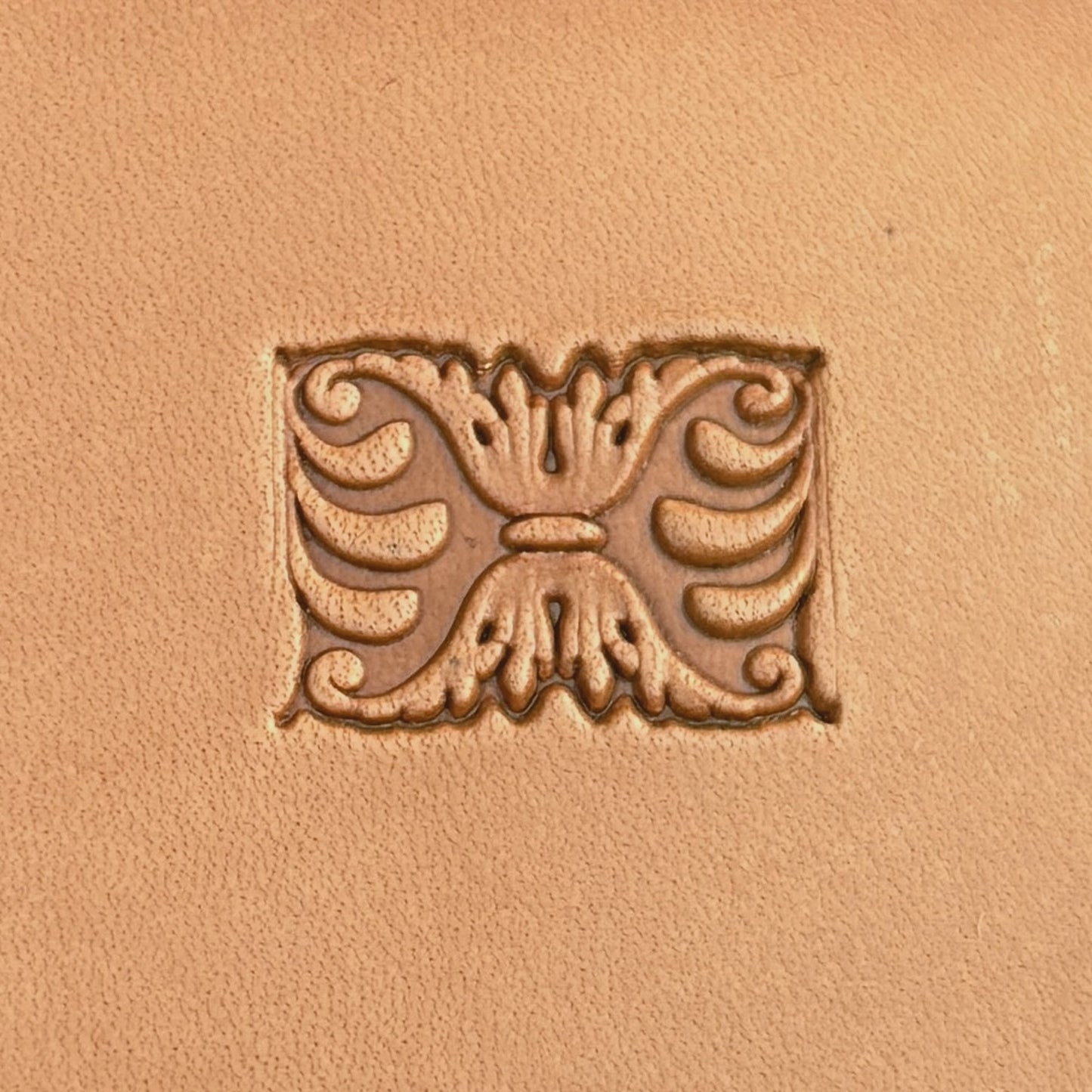 Ornate Border leather stamp LT159 — single impression on veg-tan leather