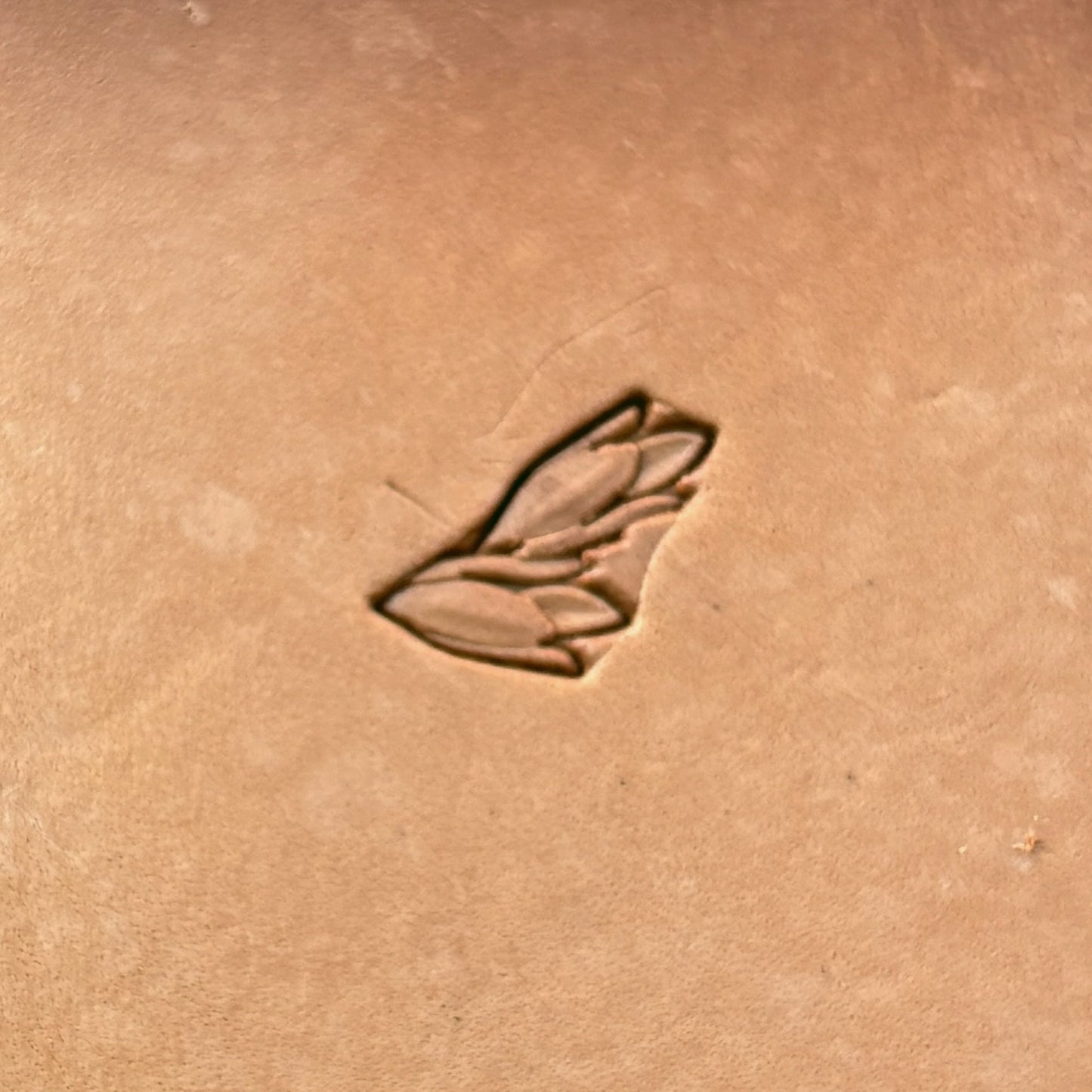 Leafy Wheat Garland leather stamp LT160 — pattern imprint on veg-tan leather