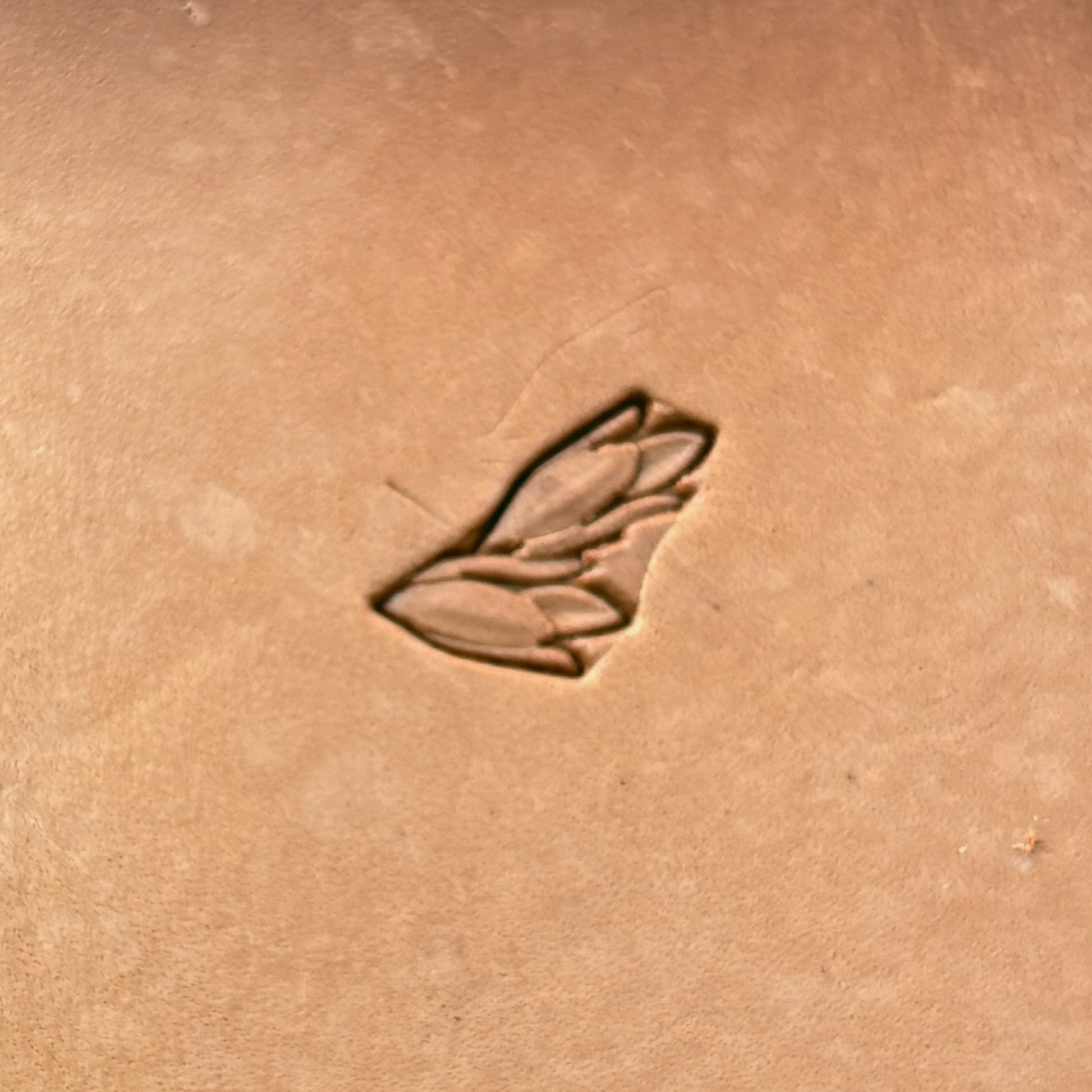 Leafy Wheat Garland leather stamp LT160 — pattern imprint on veg-tan leather
