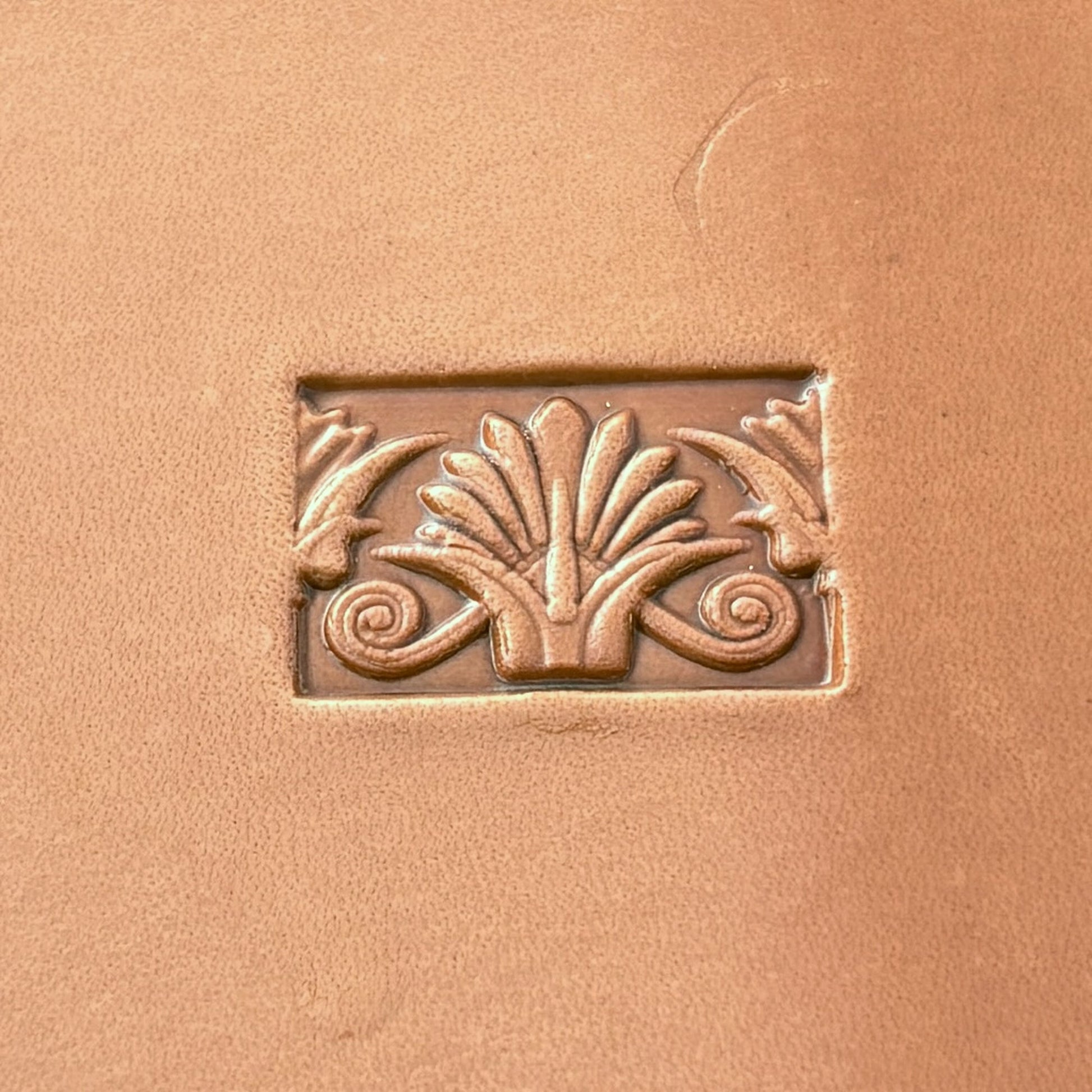 Ornamental Border leather stamp LT161 — single impression on veg-tan leather