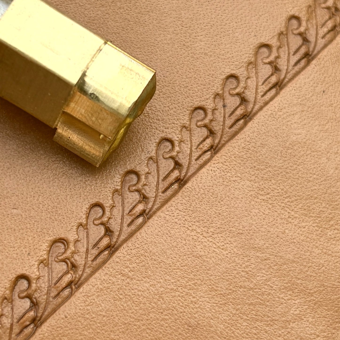 Border Trim Oak Leaf leather stamp LT168 — brass stamping tool with imprint on natural veg-tan leather