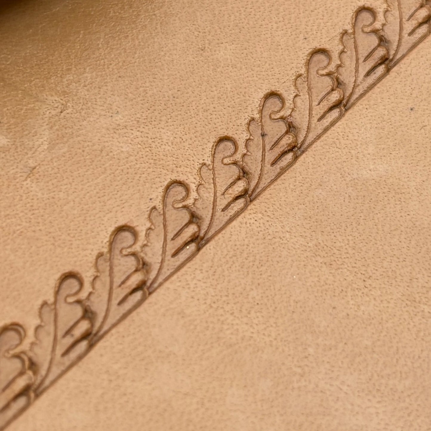 Border Trim Oak Leaf leather stamp LT168 — pattern imprint on veg-tan leather