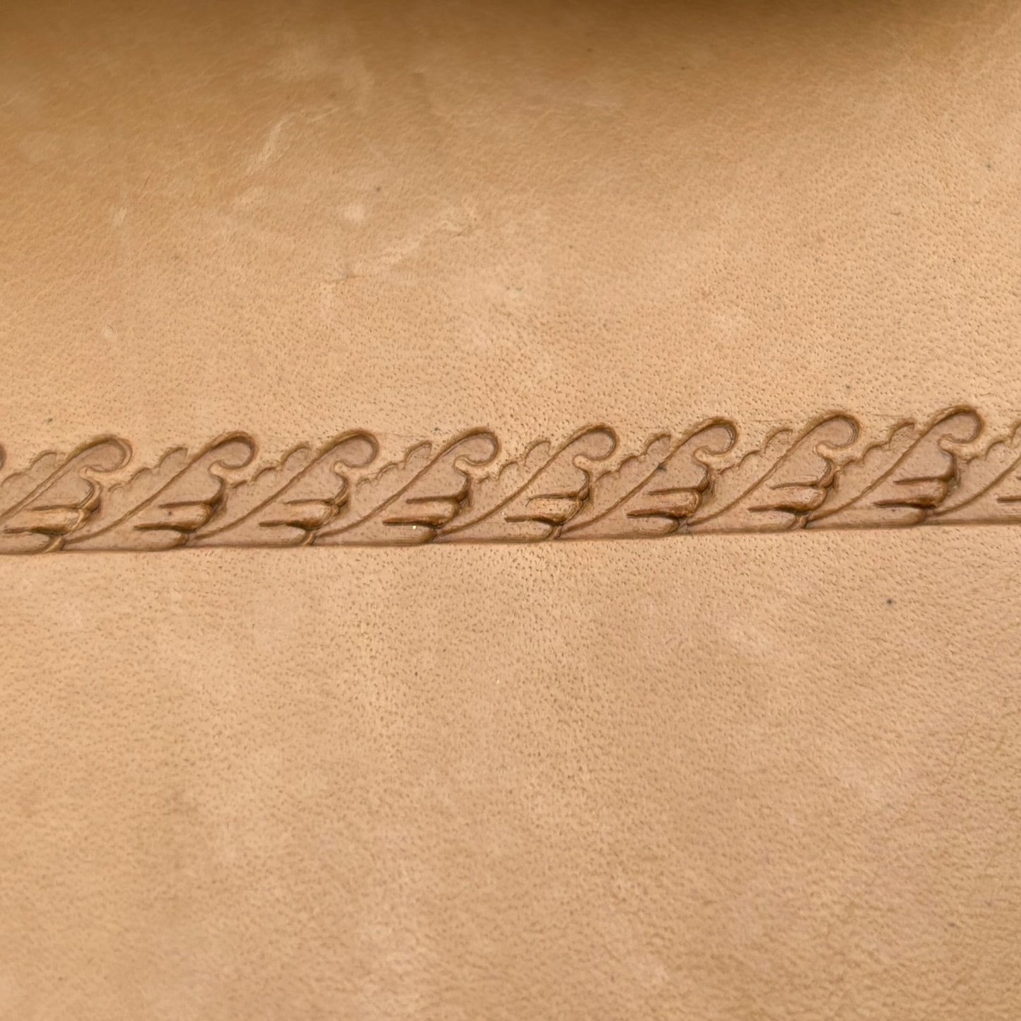 Border Trim Oak Leaf leather stamp LT168 — pattern imprint on veg-tan leather