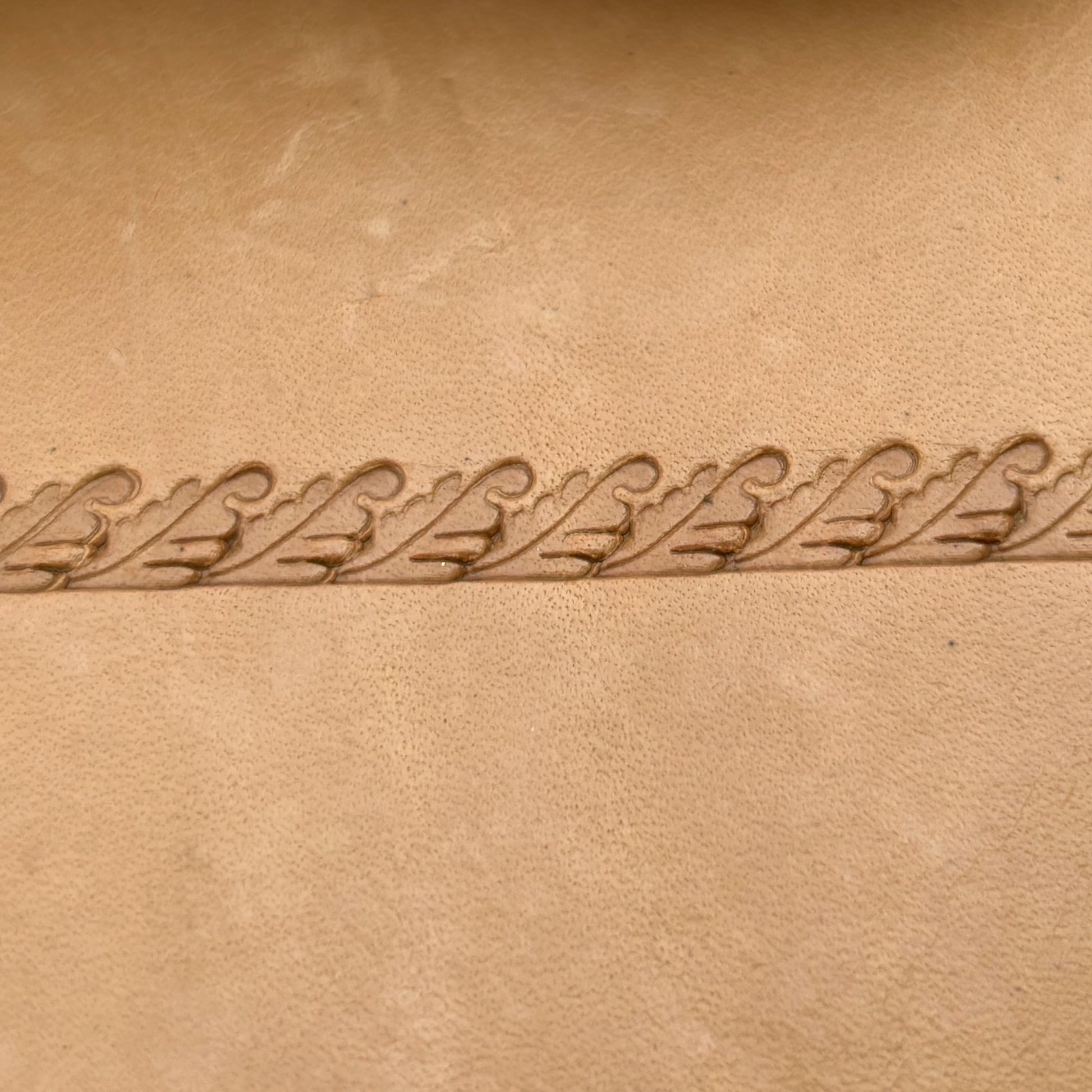 Border Trim Oak Leaf leather stamp LT168 — pattern imprint on veg-tan leather