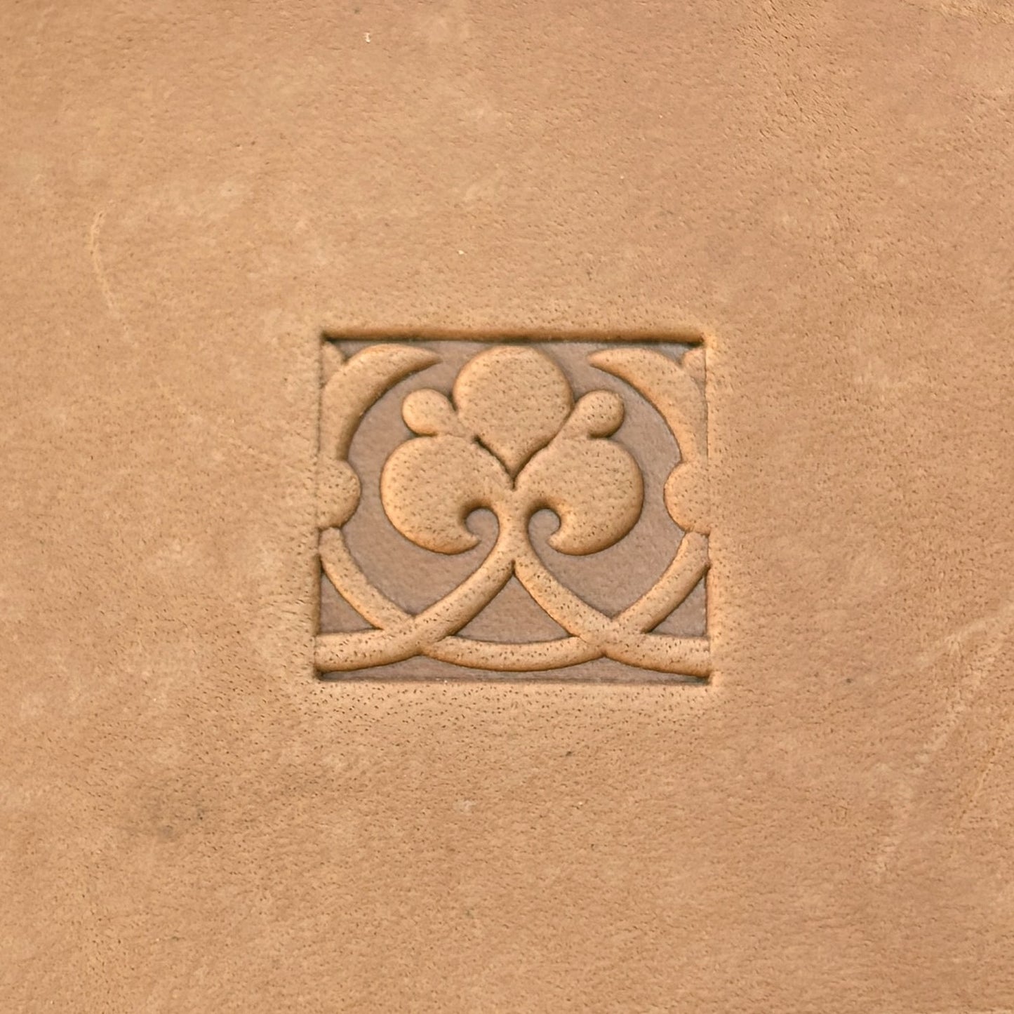 Ornate Square leather stamp LT169 — single impression on veg-tan leather