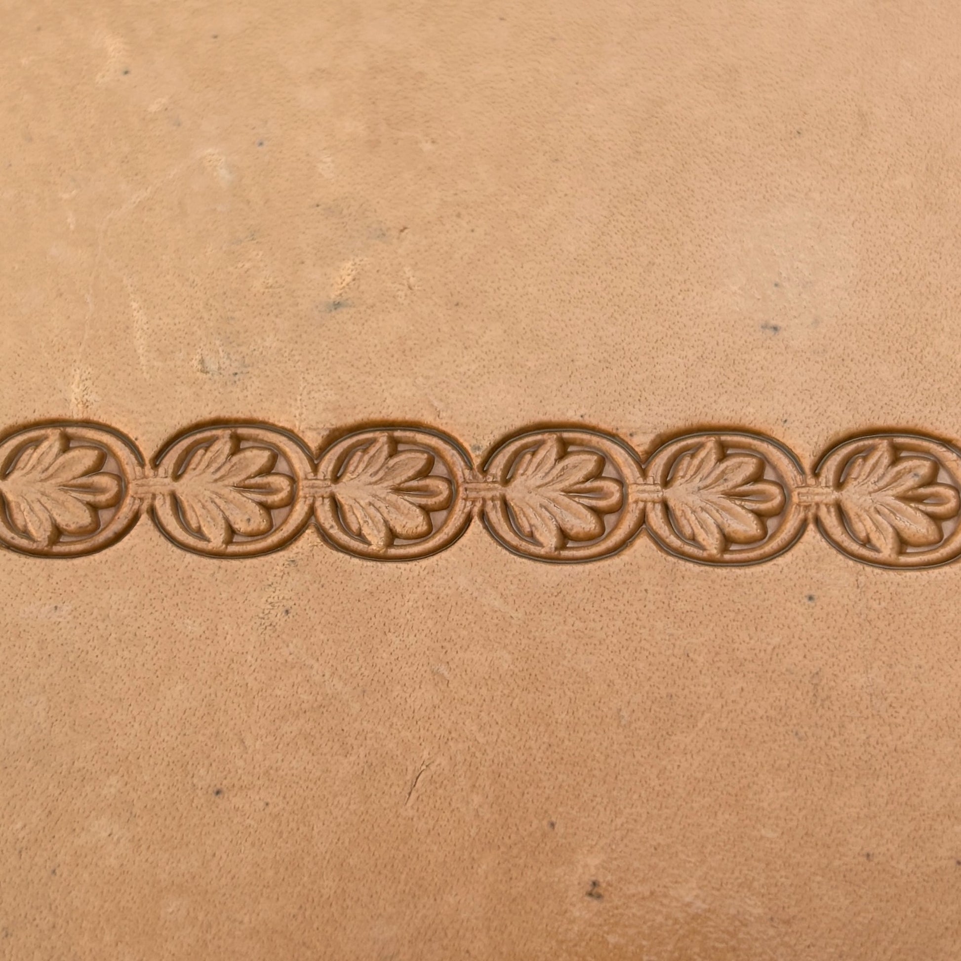 Double Oval 1 Leaf leather stamp LT170 — pattern imprint on veg-tan leather
