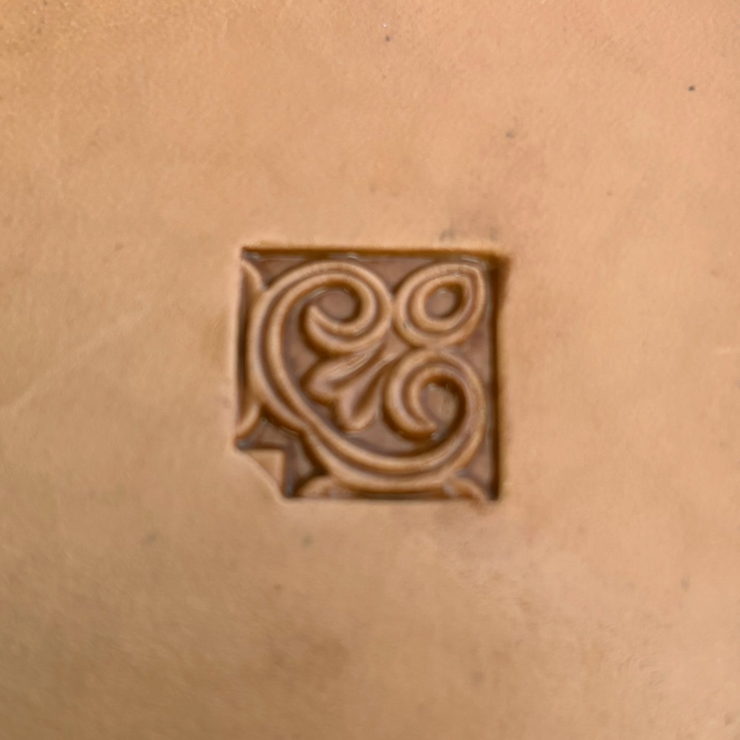 Ornamental Scroll leather stamp LT171 — pattern imprint on veg-tan leather