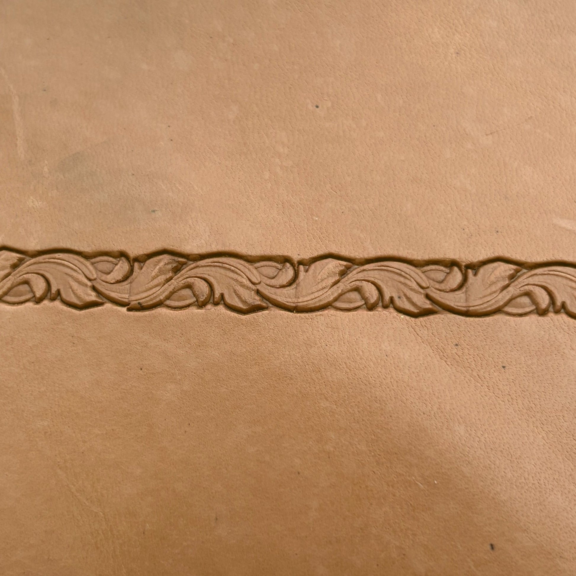 Border Leaf leather stamp LT173 — pattern imprint on veg-tan leather