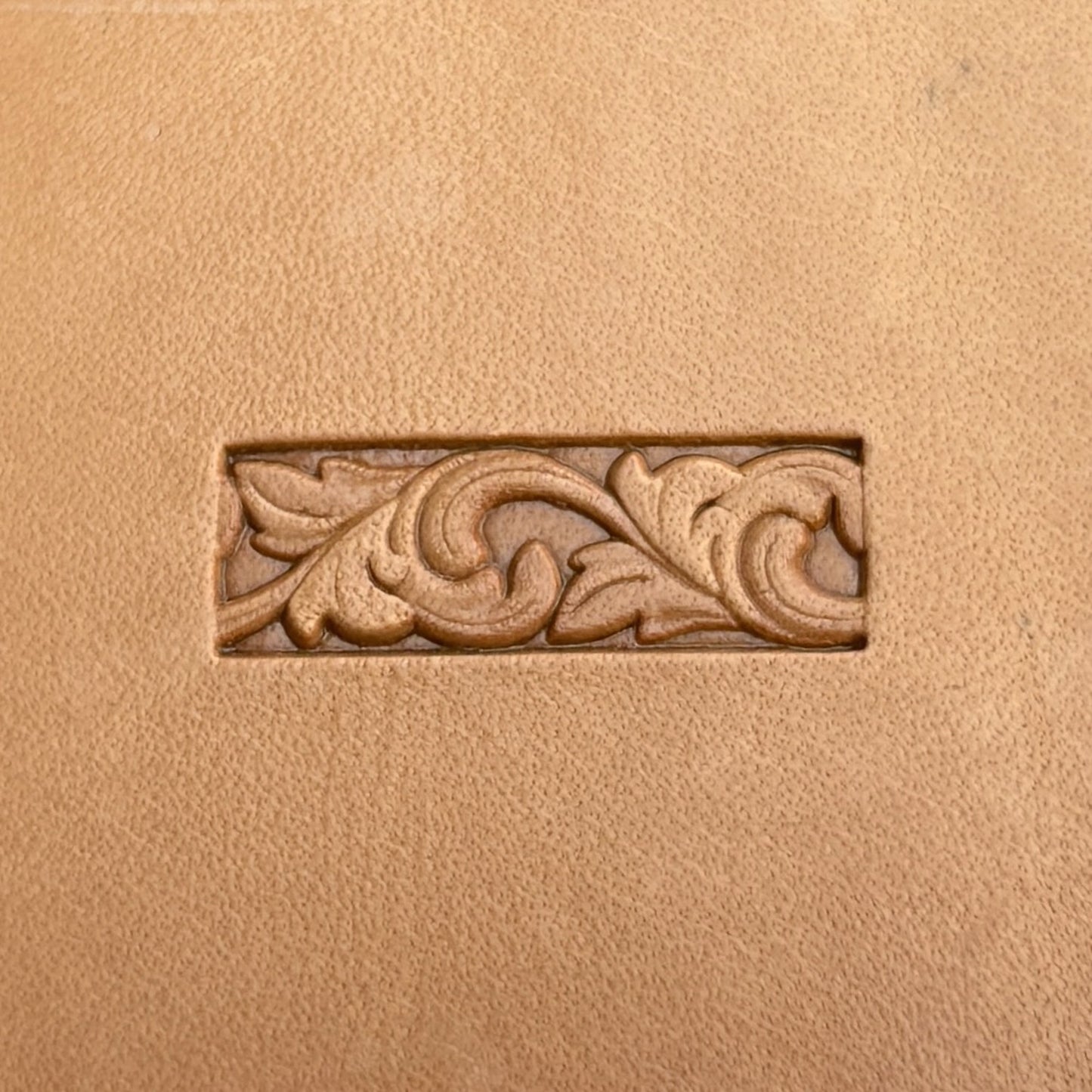 Ornate Border leather stamp LT182 — single impression on veg-tan leather