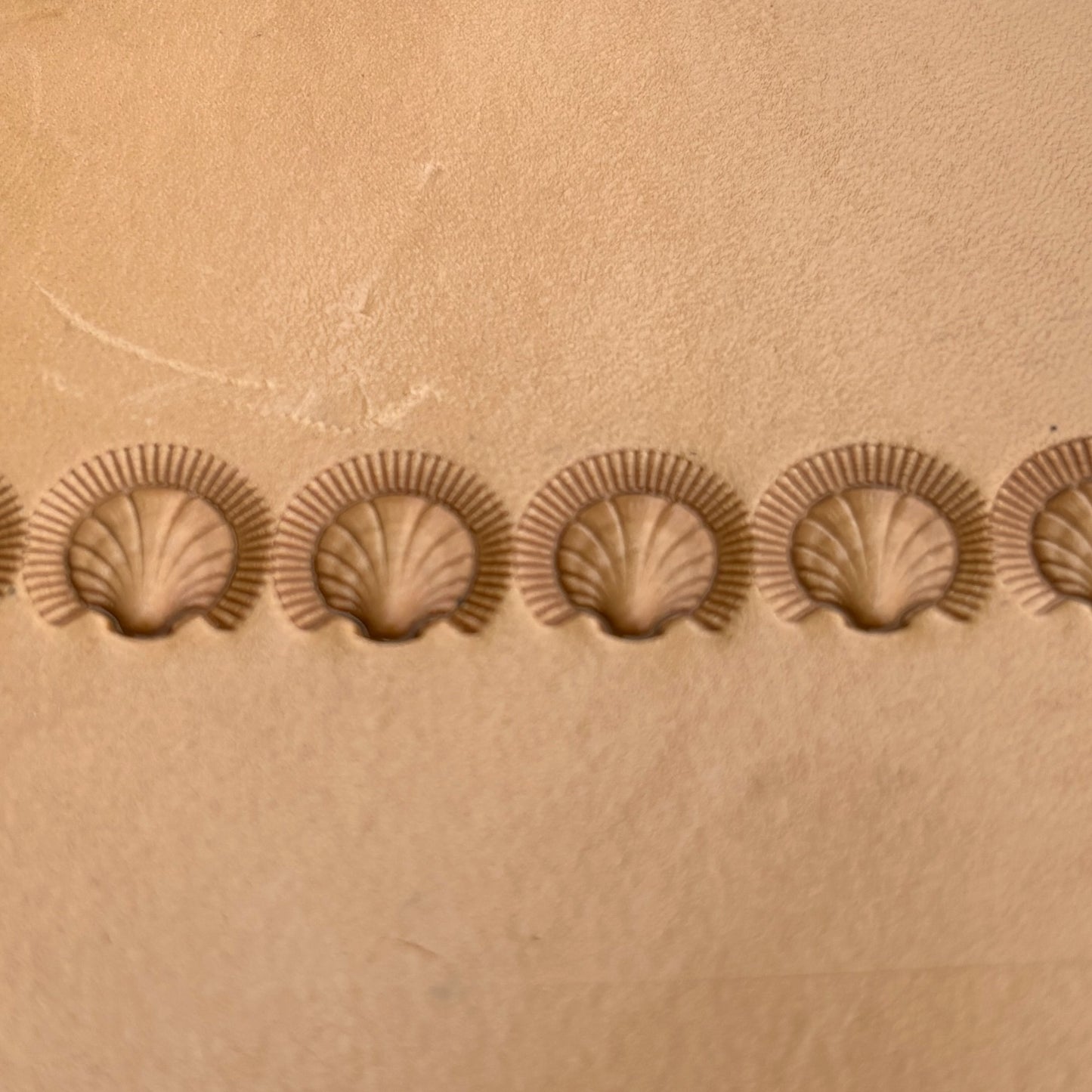 Shell Fan leather stamp LT185 — pattern imprint on veg-tan leather