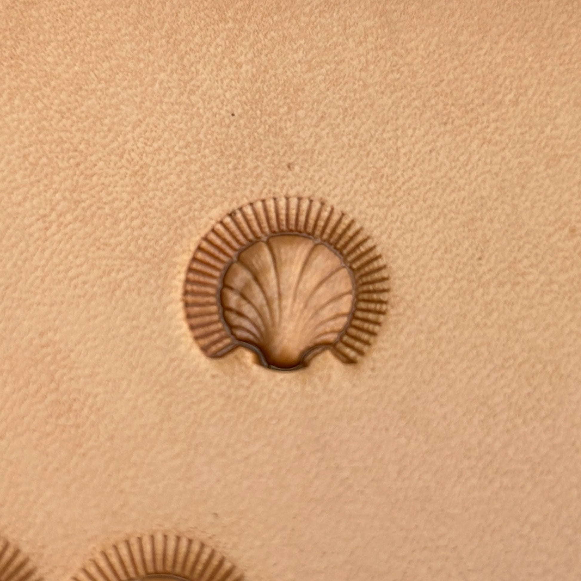 Shell Fan leather stamp LT185 — single impression on veg-tan leather