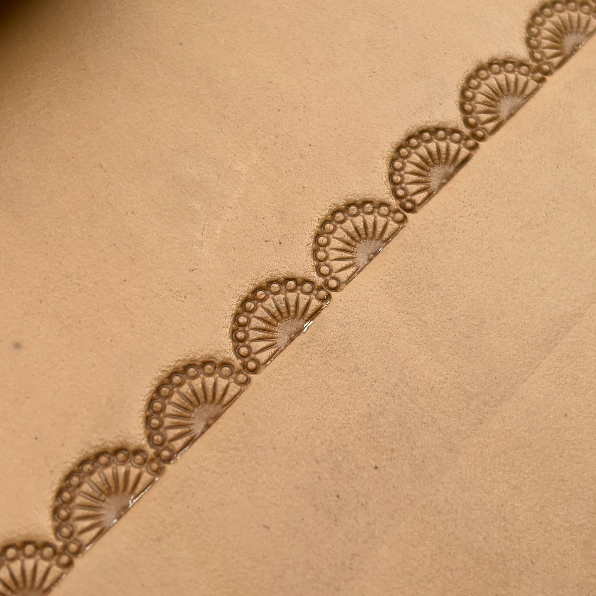 Fan Border leather stamp LT186 — pattern imprint on veg-tan leather