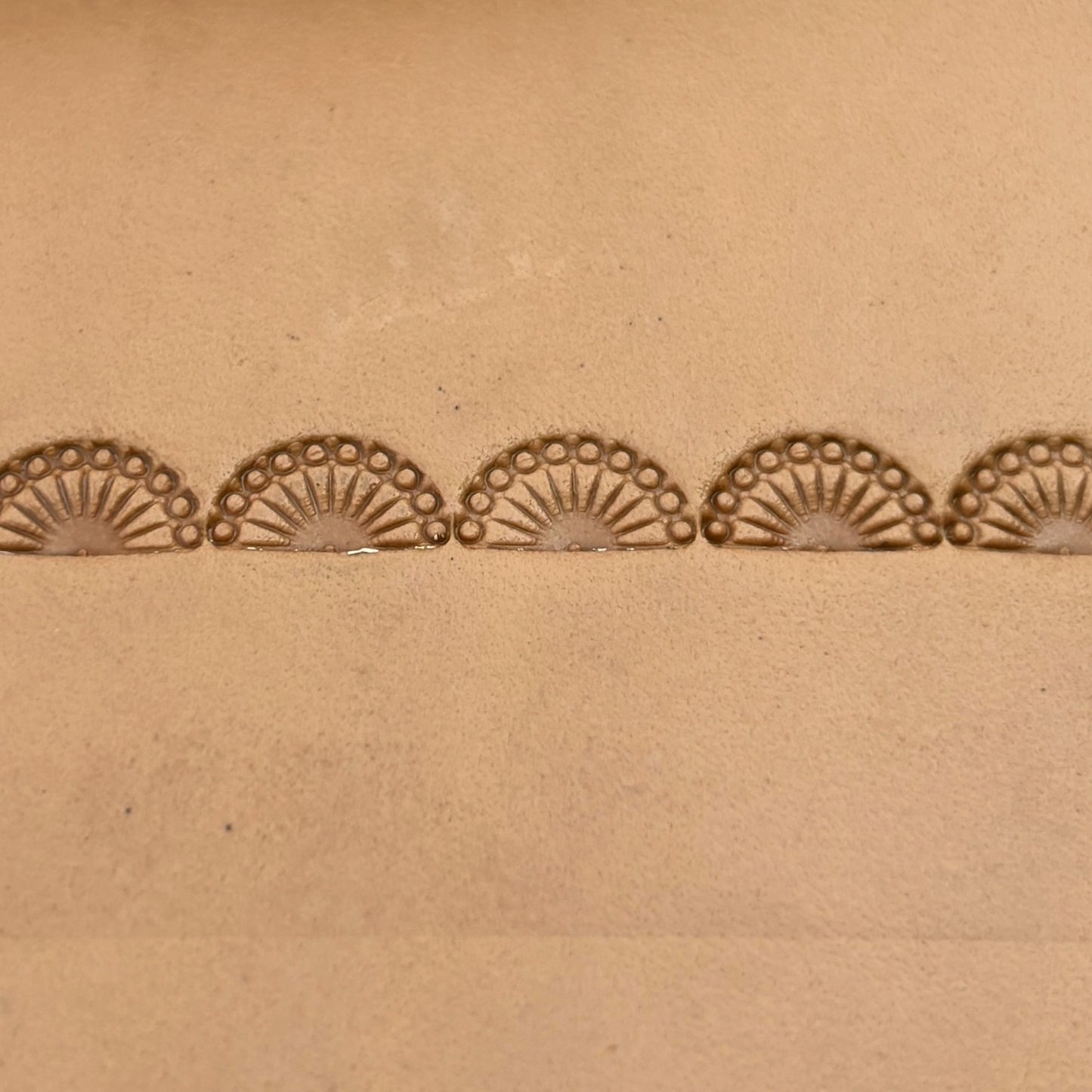 Fan Border leather stamp LT186 — pattern imprint on veg-tan leather