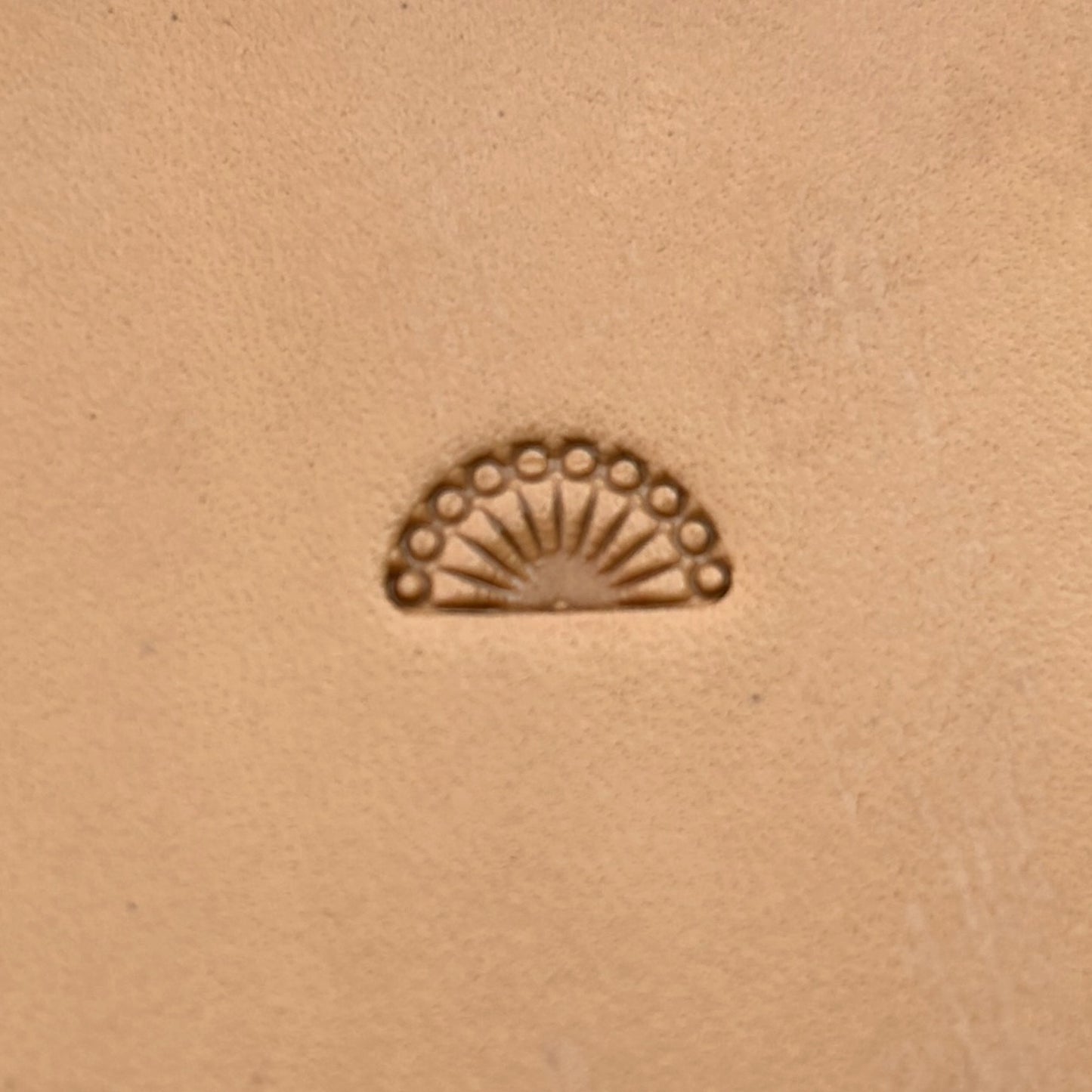 Fan Border leather stamp LT186 — single impression on veg-tan leather