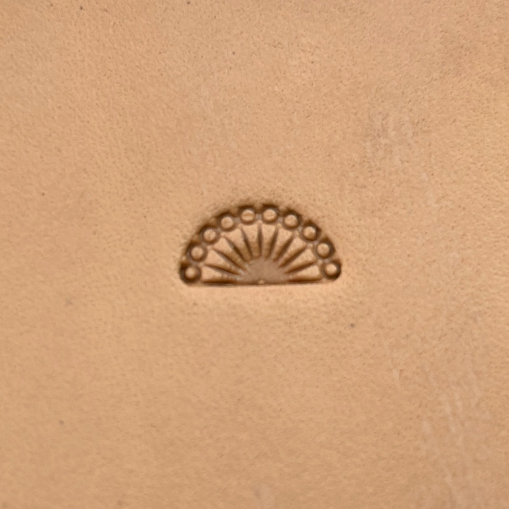 Fan Border leather stamp LT186 — single impression on veg-tan leather