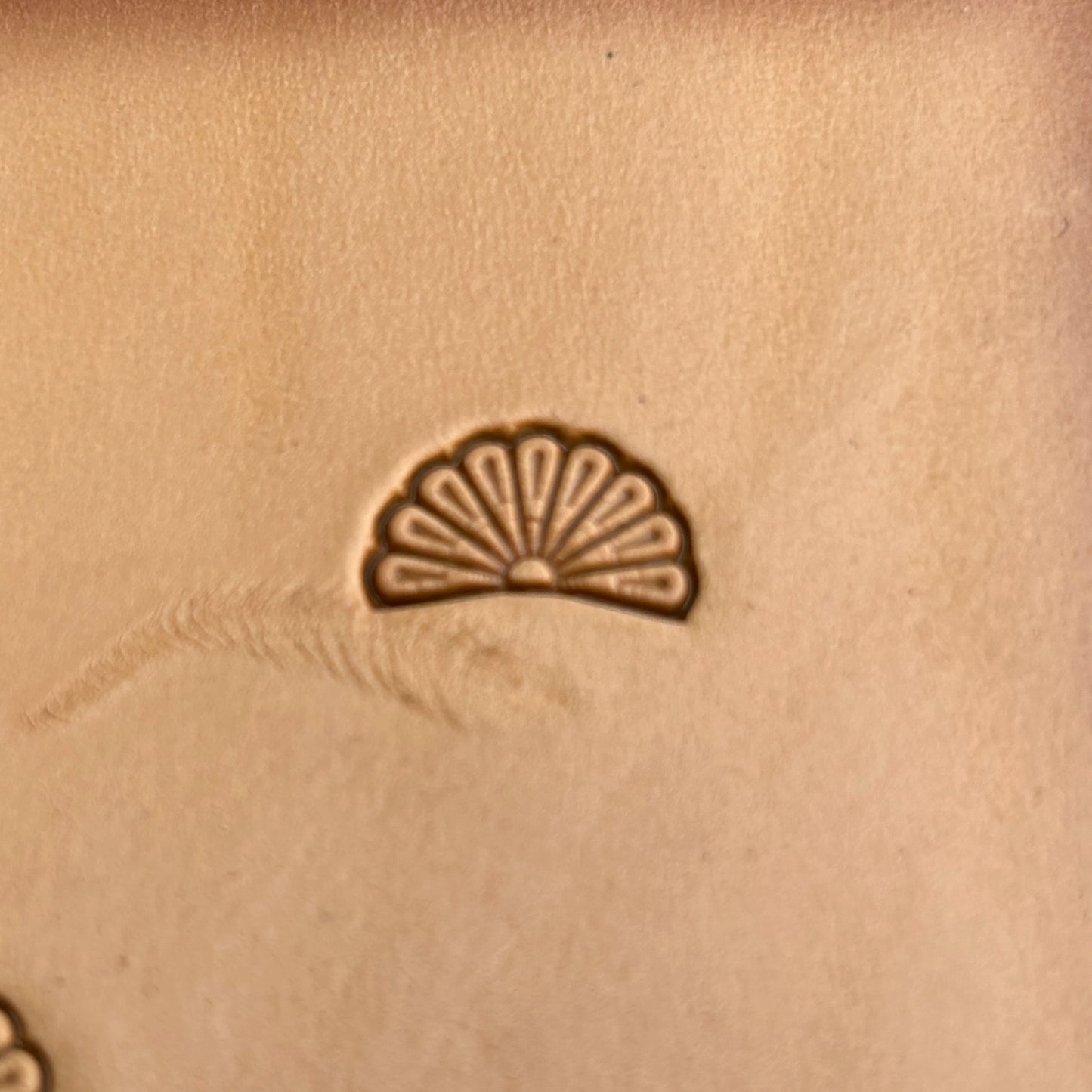 Fan Border leather stamp LT187 — single impression on veg-tan leather