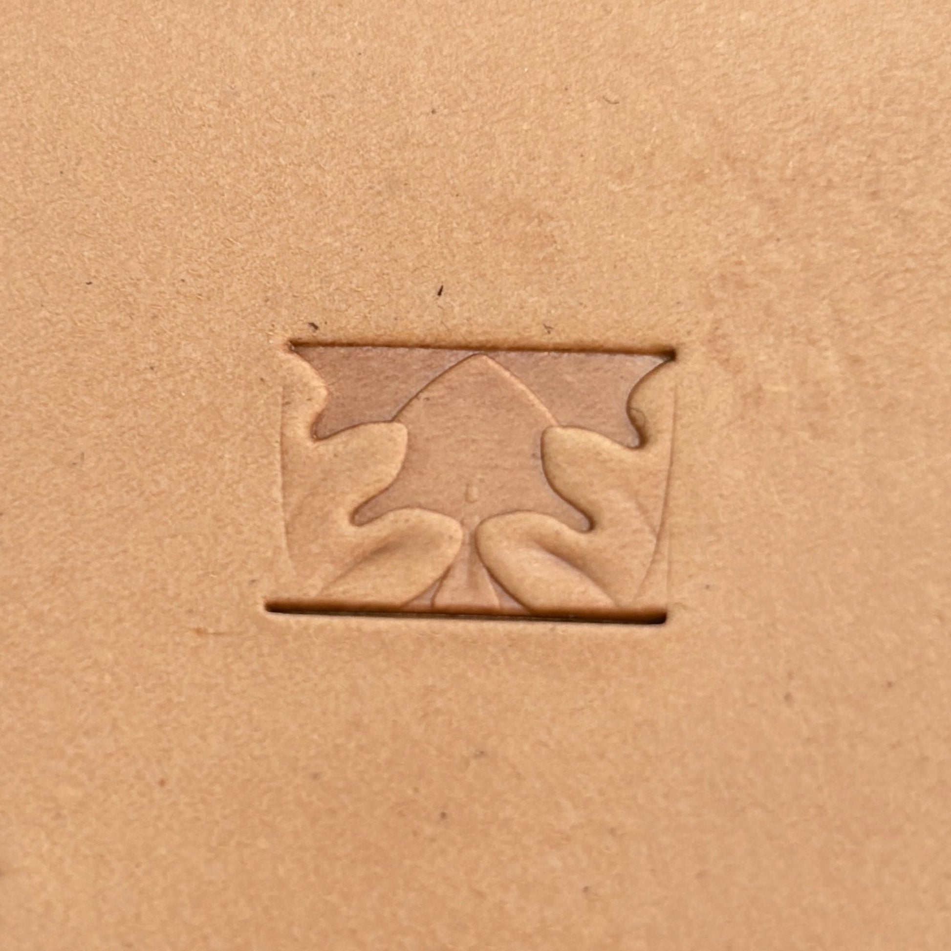 Oak Leaf leather stamp LT192 — single impression on veg-tan leather