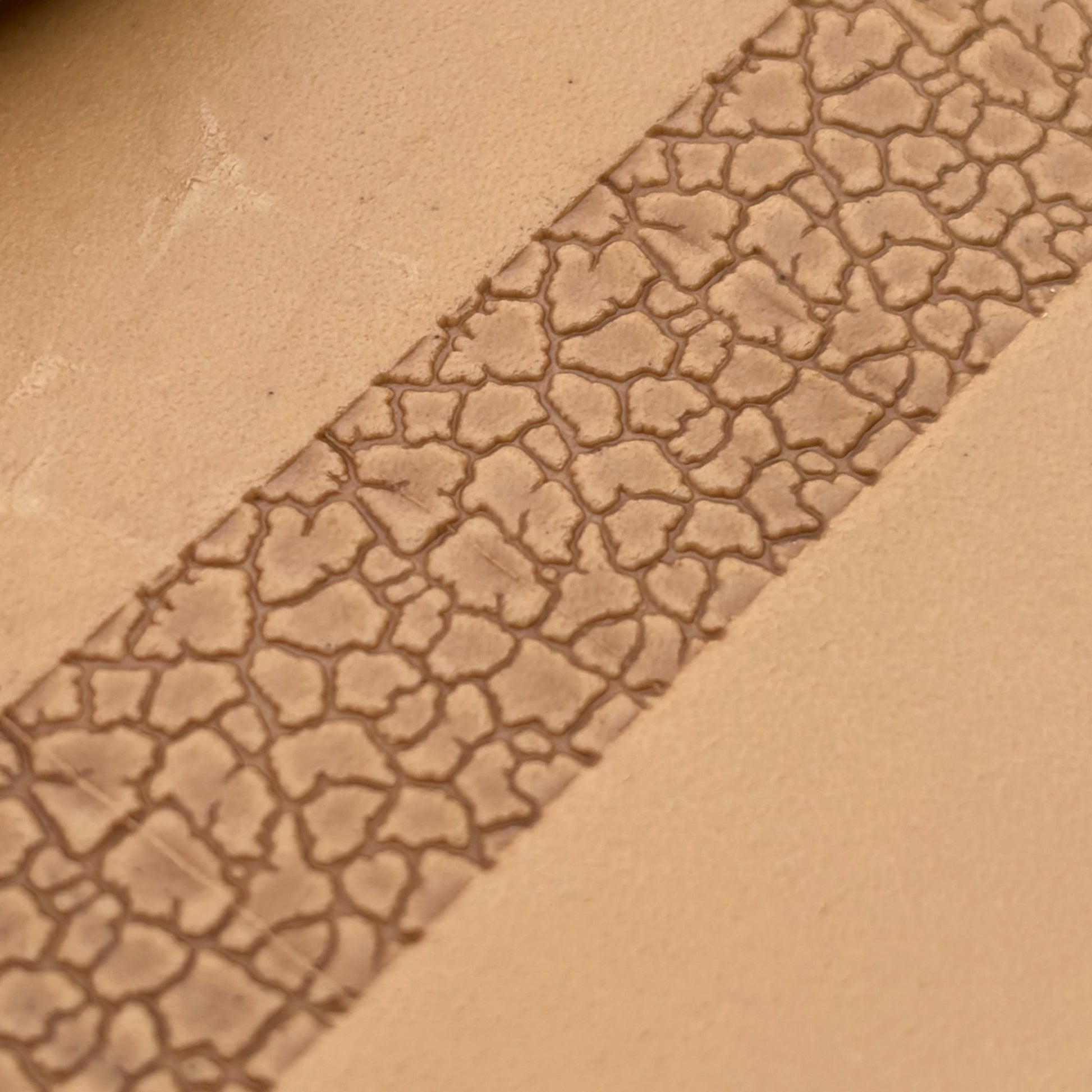 Cracked Earth leather stamp LT193 — pattern imprint on veg-tan leather