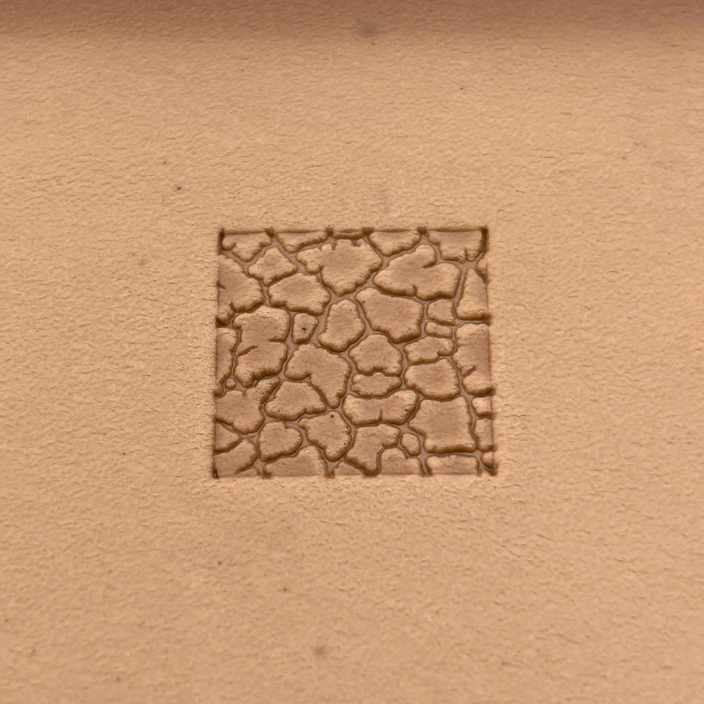 Cracked Earth leather stamp LT193 — single impression on veg-tan leather
