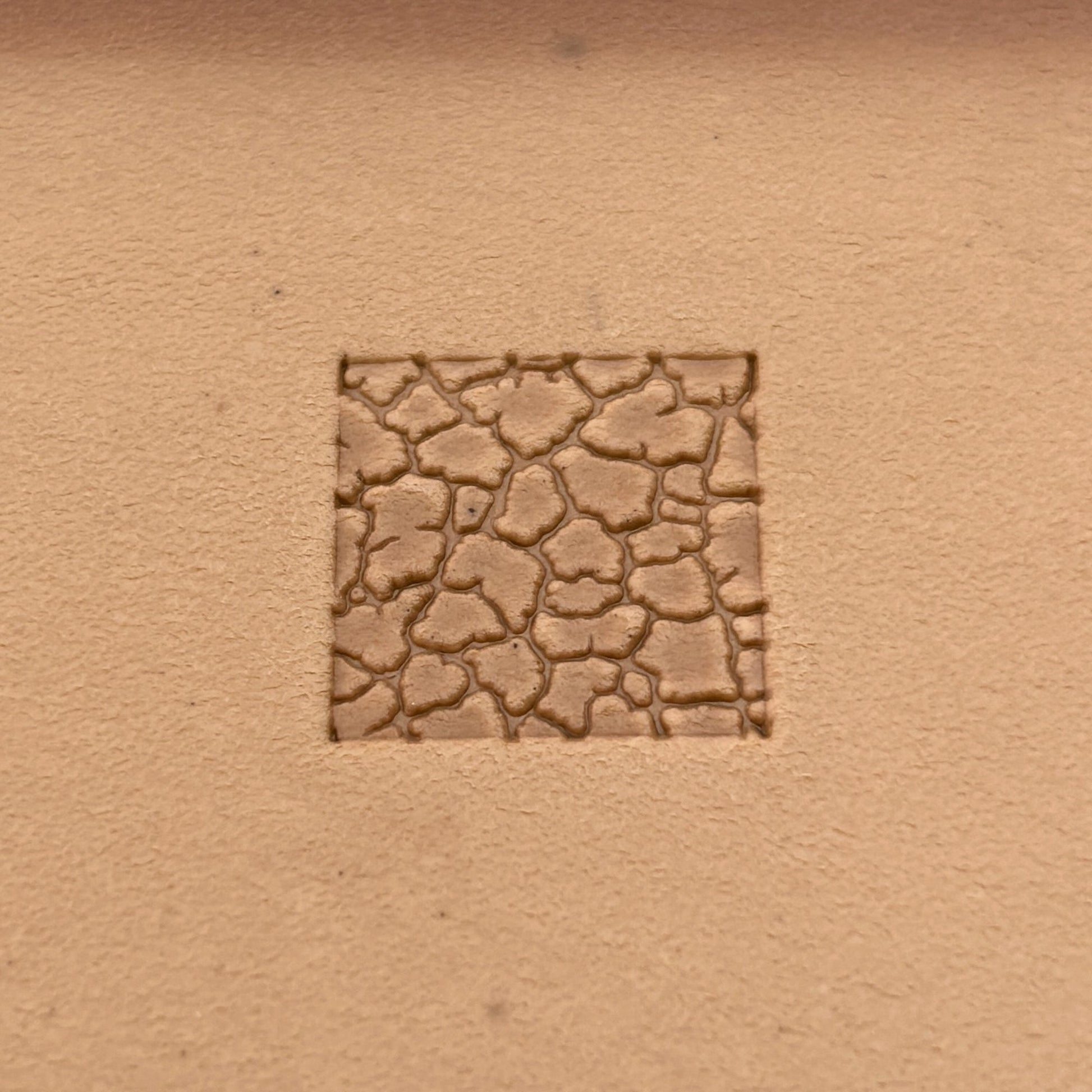 Cracked Earth leather stamp LT193 — single impression on veg-tan leather
