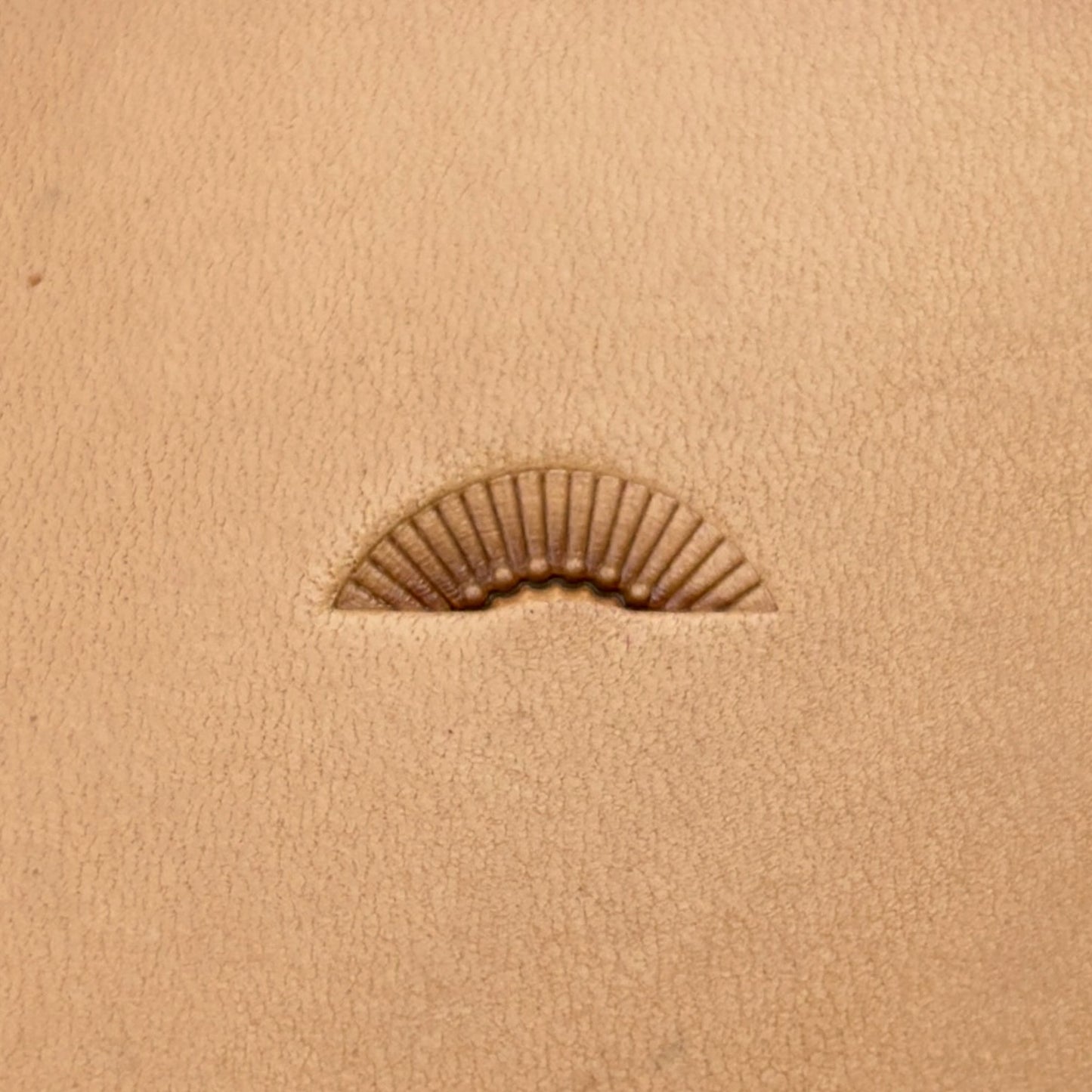 Radiant Curve Stitches leather stamp LT197 — single impression on veg-tan leather