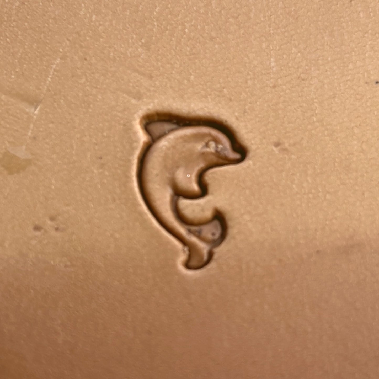 Dolphin leather stamp LT201 — single impression on veg-tan leather